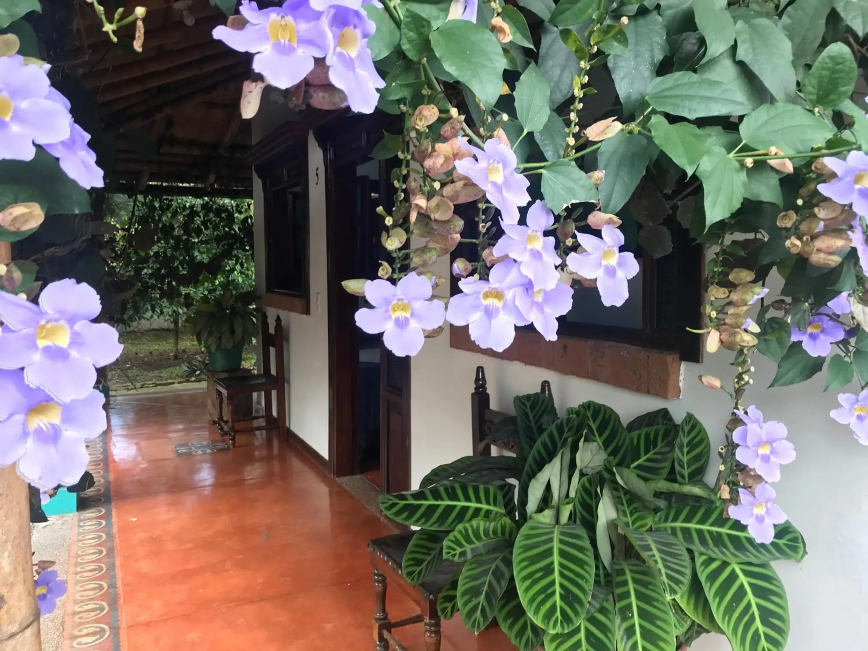 Two-Bedroom Suite in Finca Hotel Brasilia Two-Bedroom Suite in Finca Hotel Brasilia