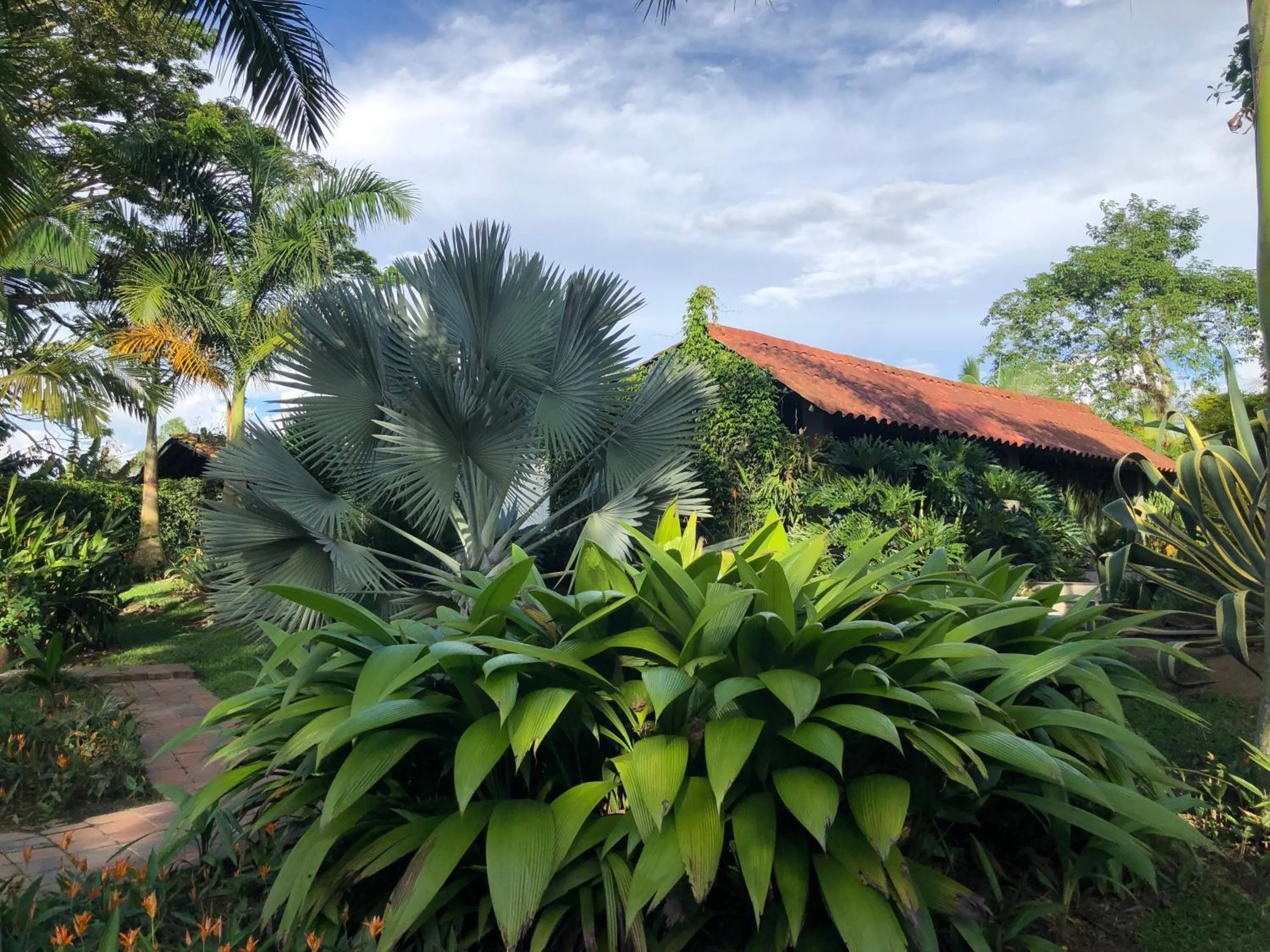 Spring in Finca Hotel Brasilia