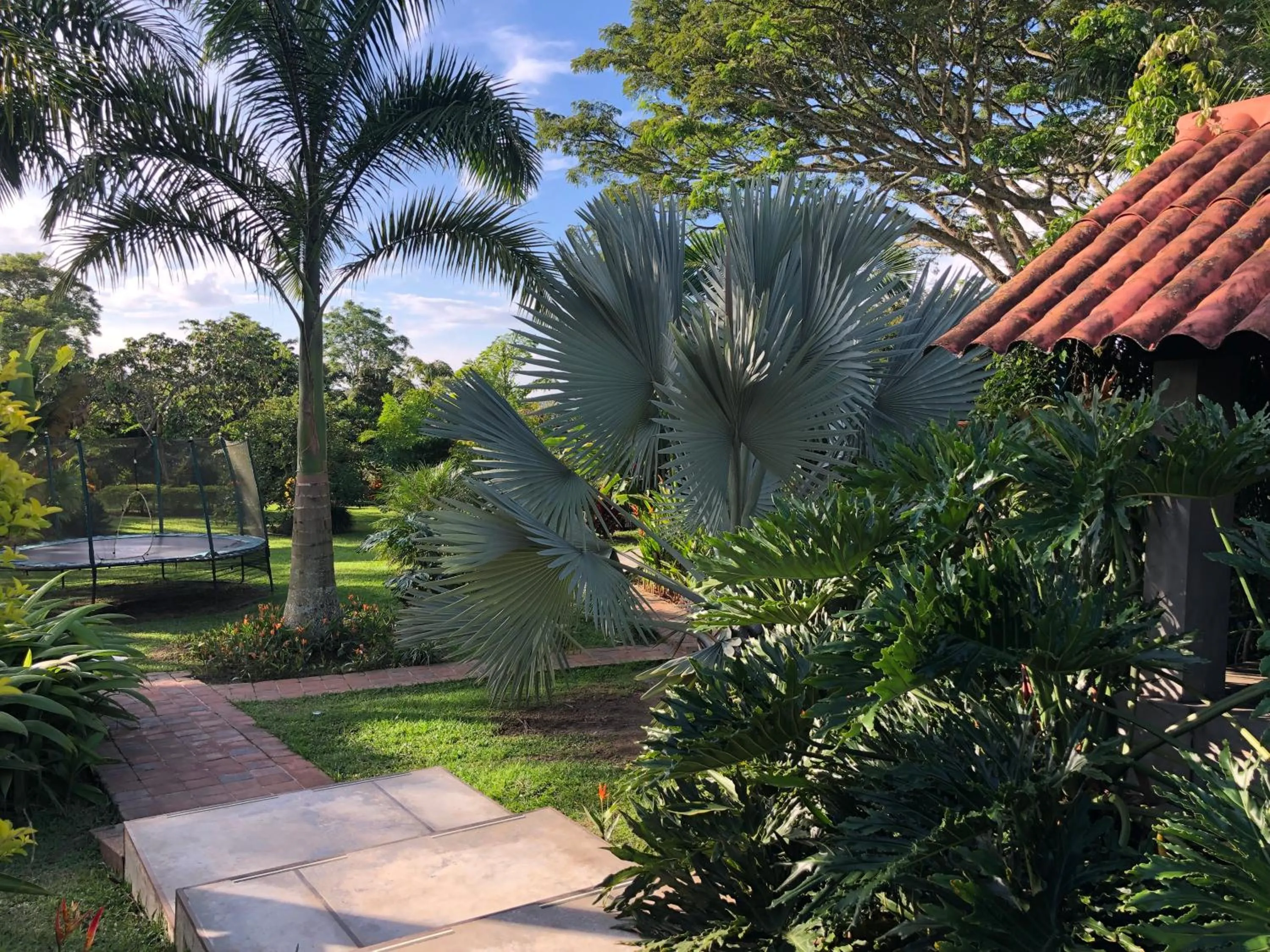Spring in Finca Hotel Brasilia