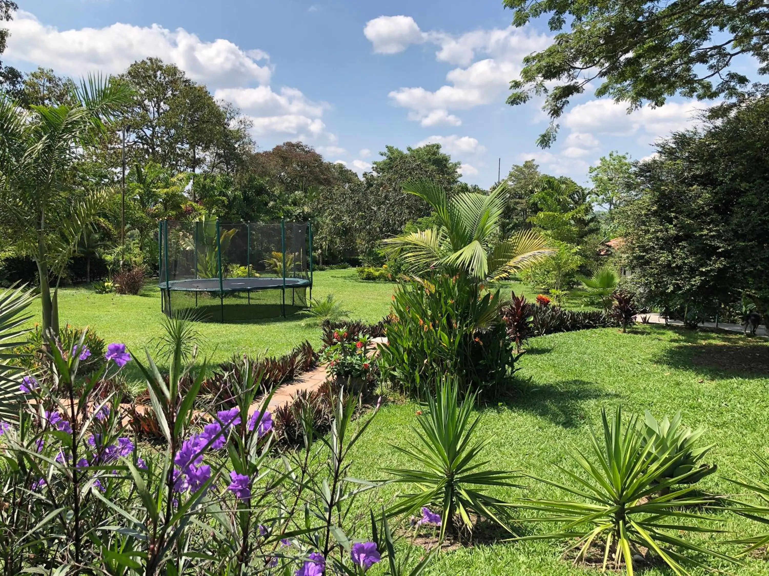 Garden in Finca Hotel Brasilia