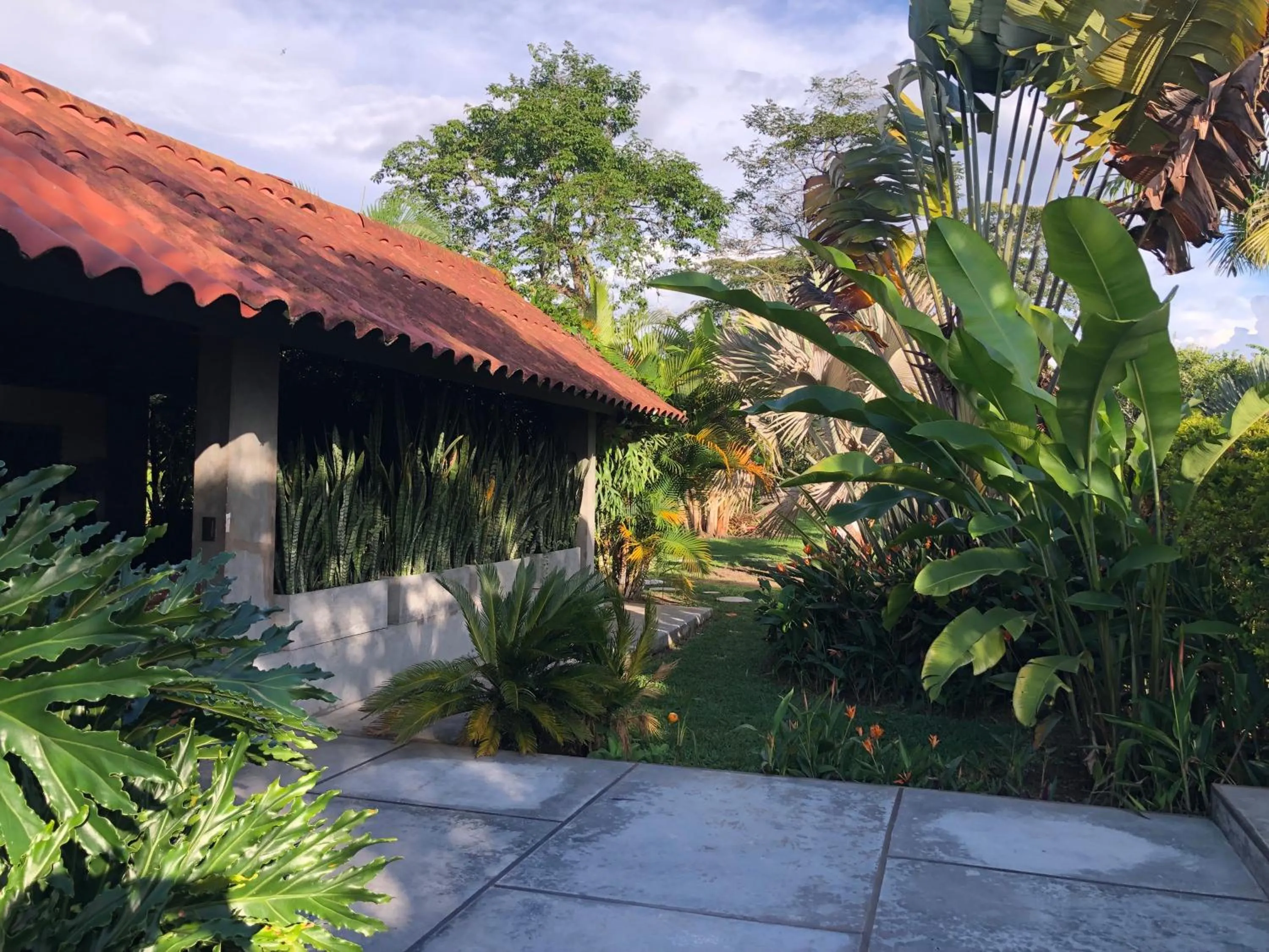 Spring in Finca Hotel Brasilia