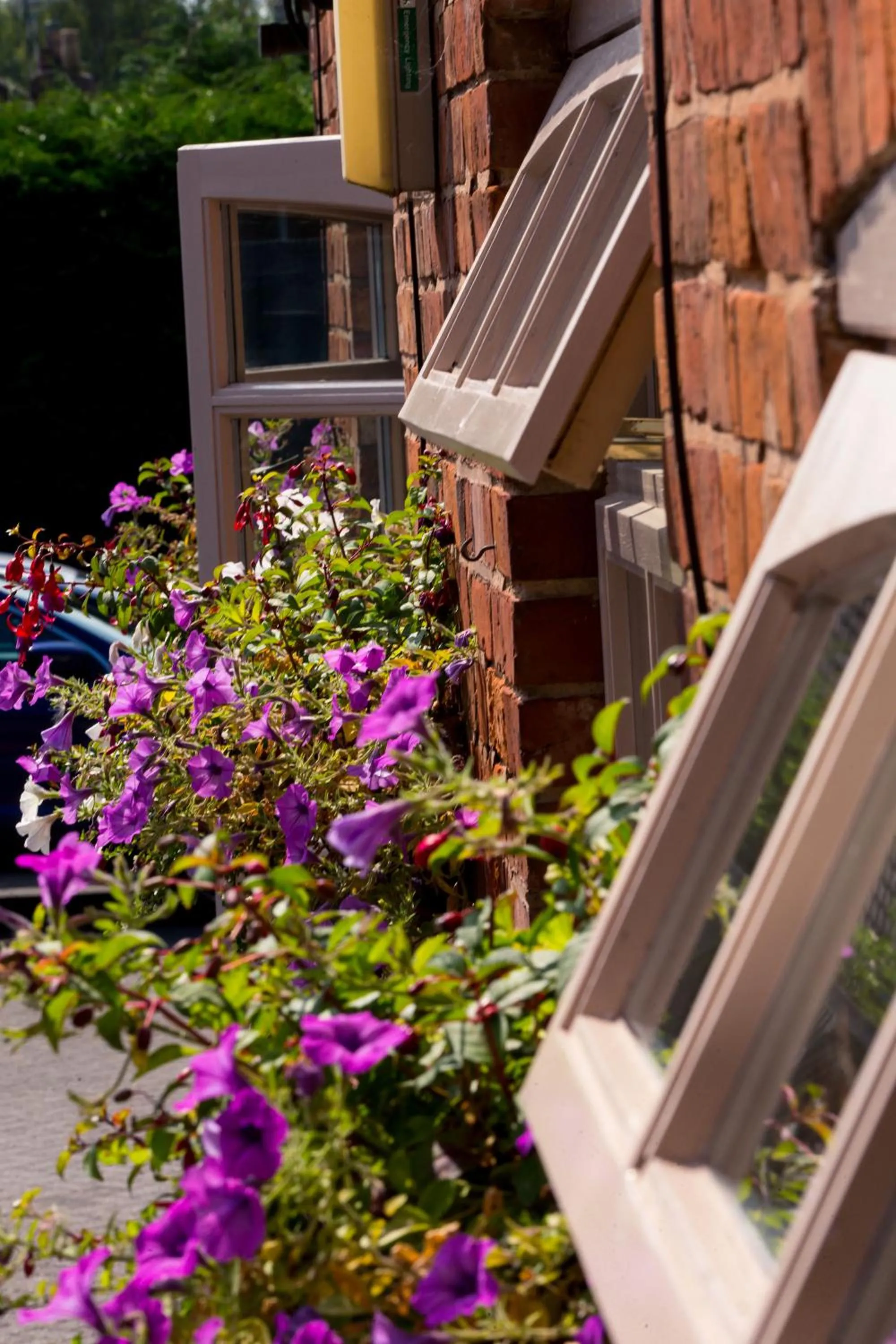 Day in The Old Fourpenny Hotel