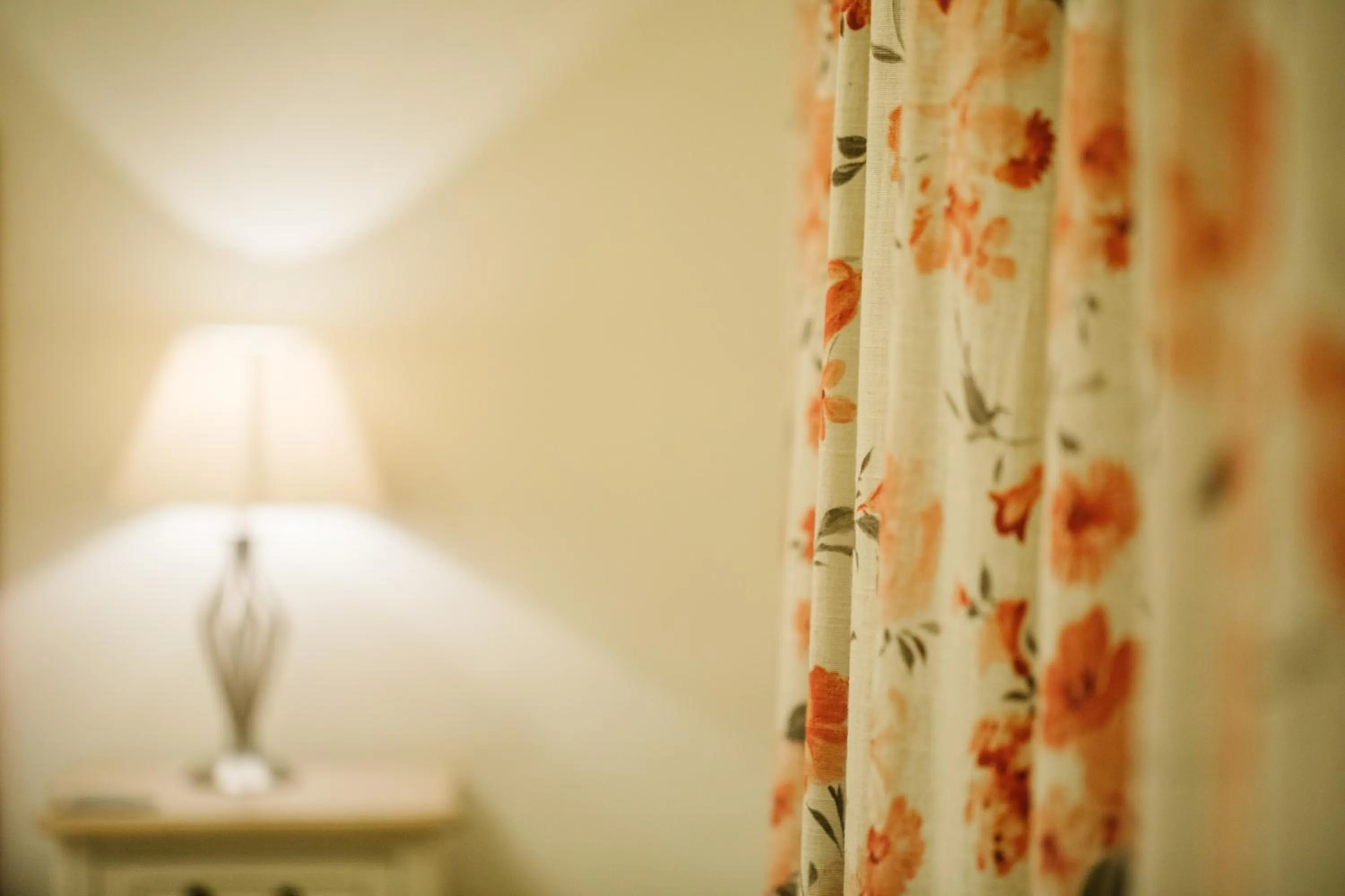 The Old Fourpenny Hotel