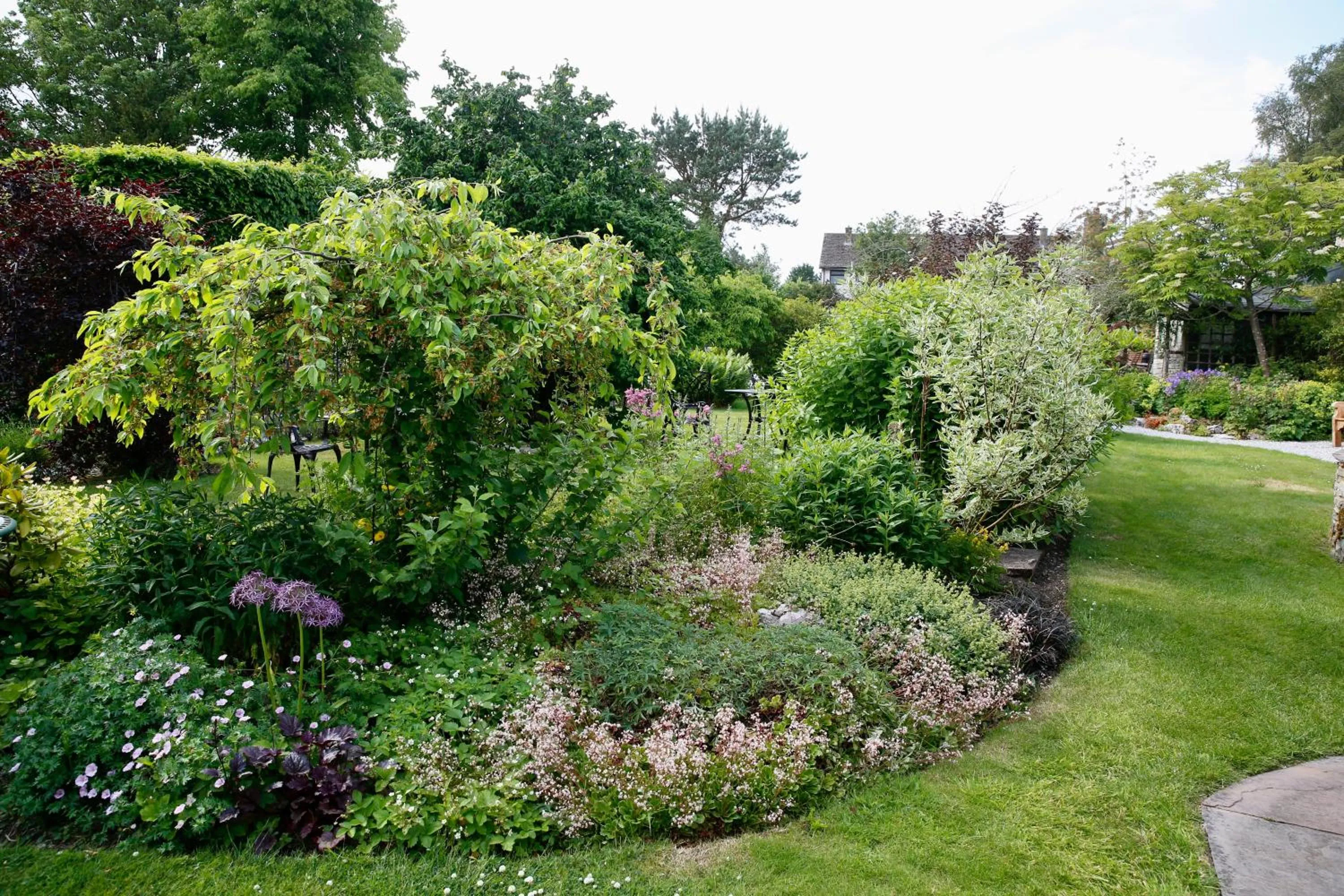 Garden in Ashfield House