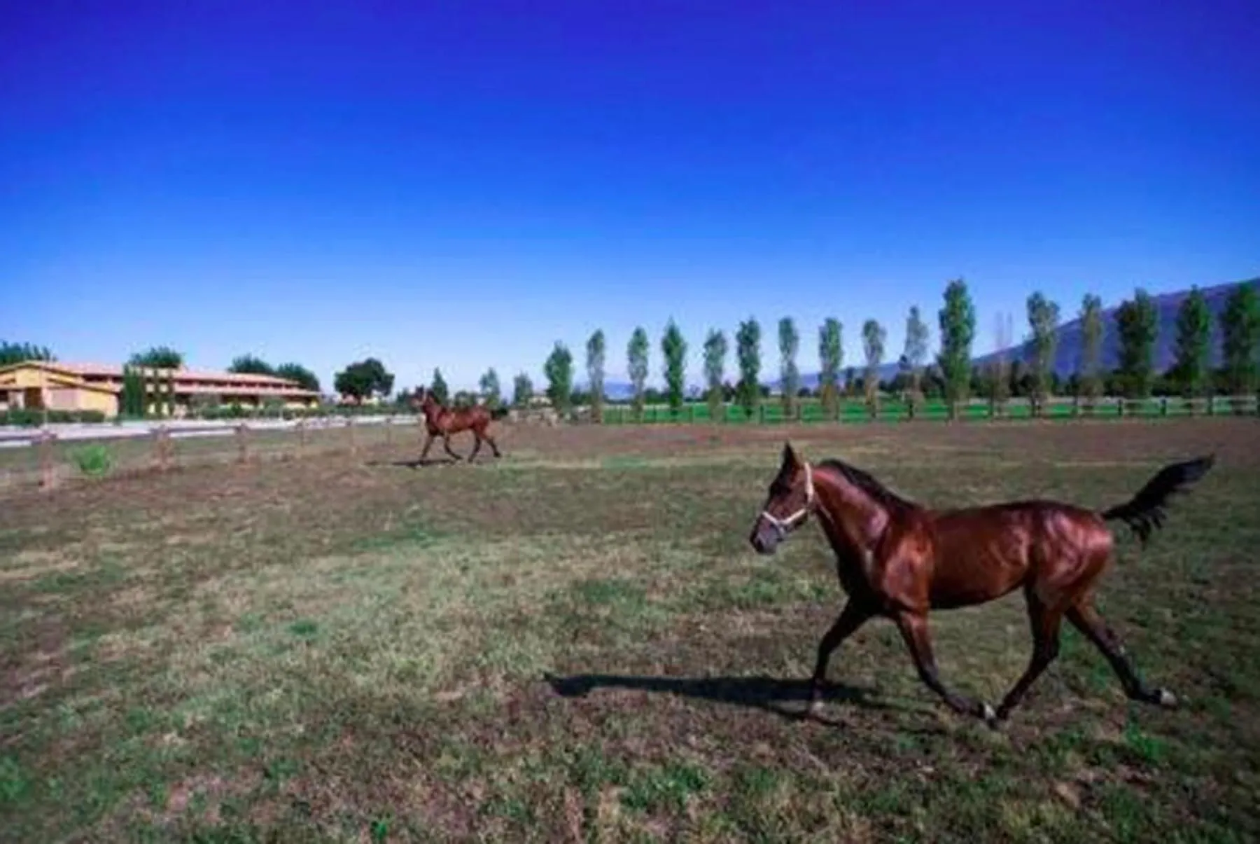 Horse-riding in Il Baio Relais & Natural Spa