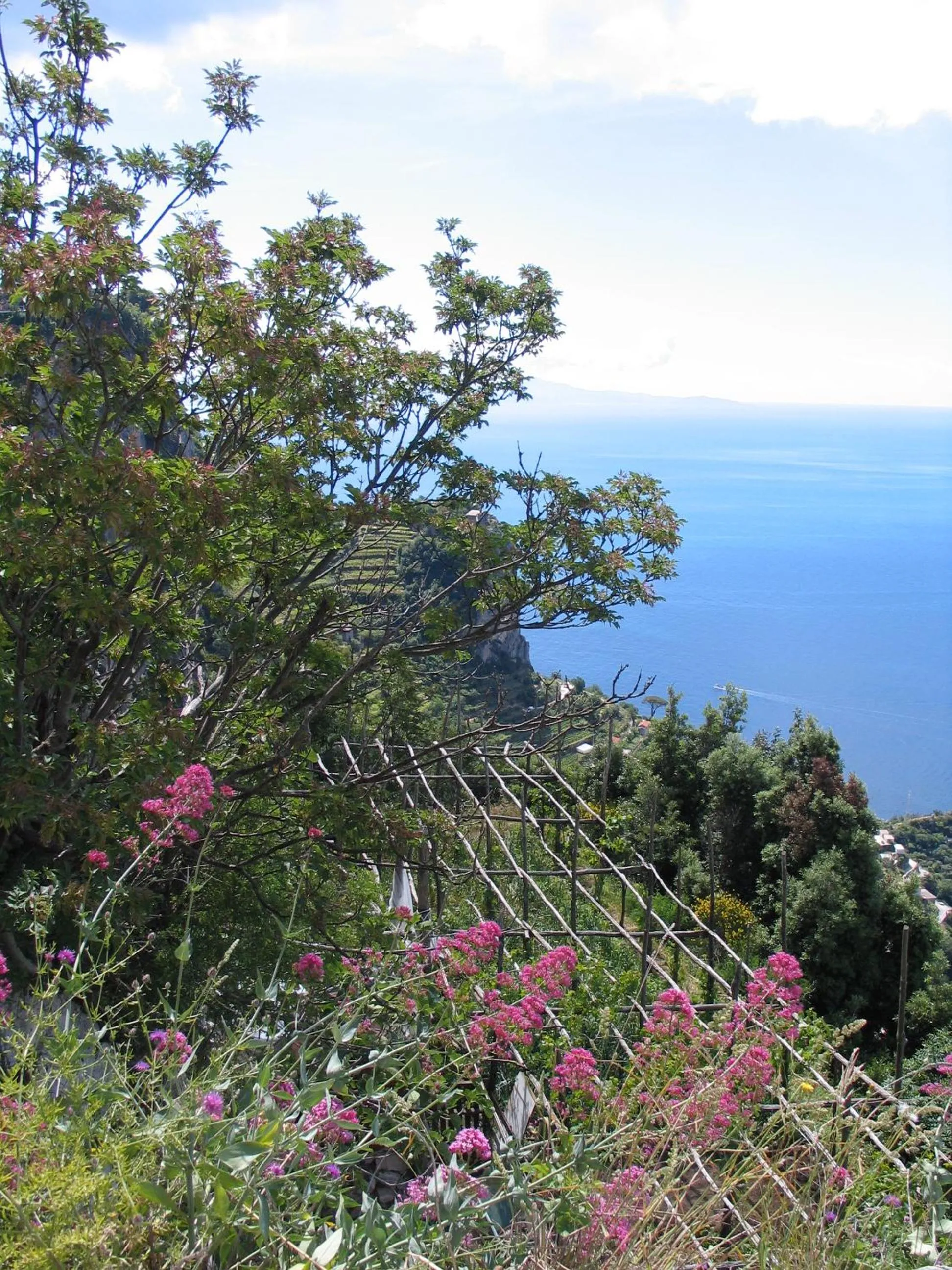 View (from property/room) in L'Eco dell'800