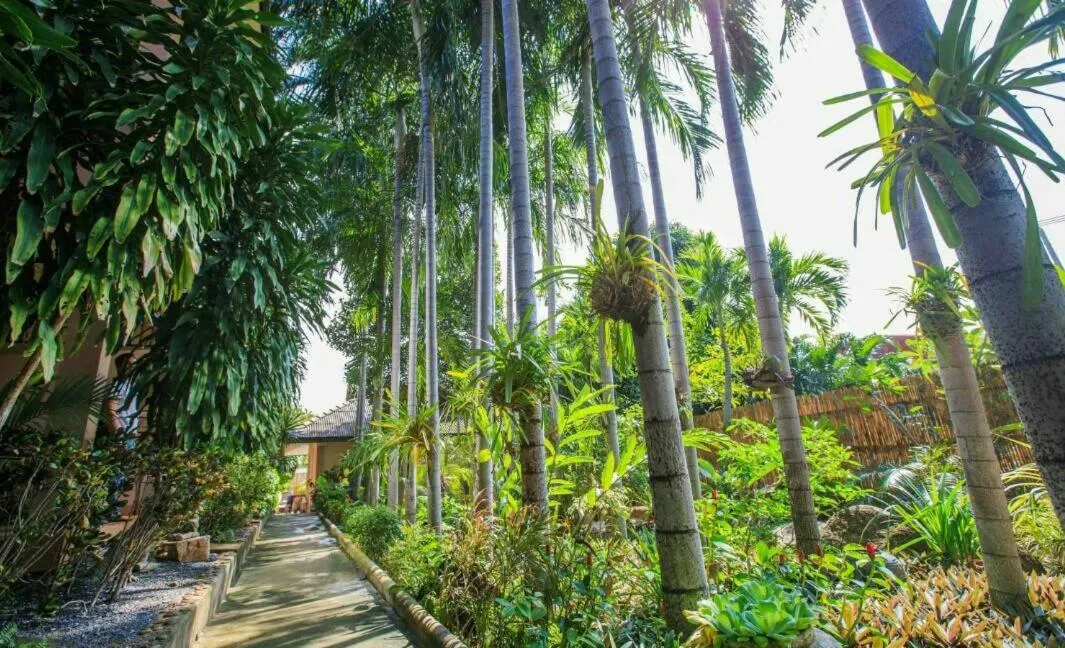 Garden in Meewaya Hotel