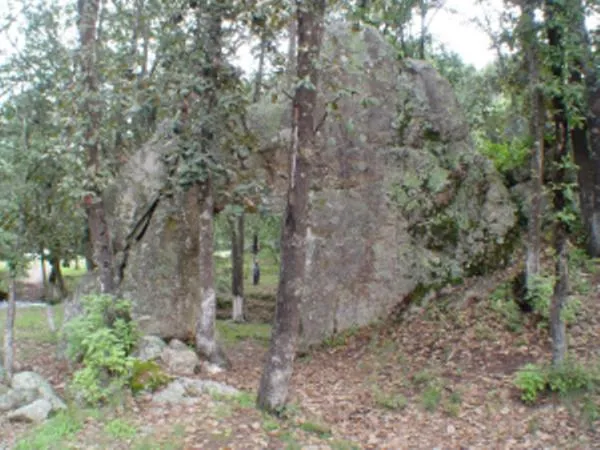 Day in Hotel Bella Vista