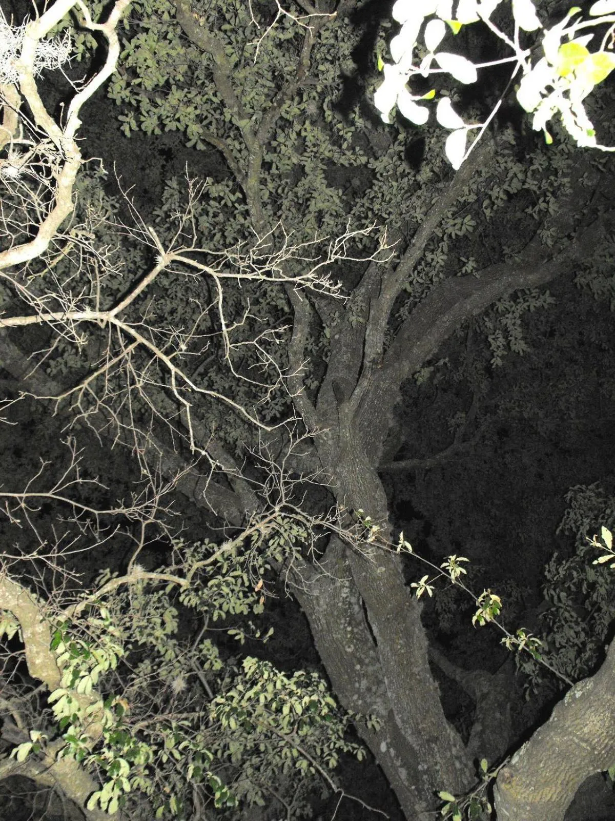 Night in Hotel Bella Vista