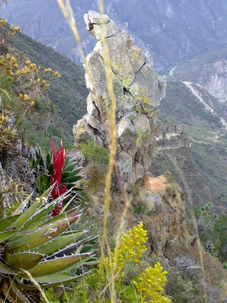 Day in Hotel Bella Vista