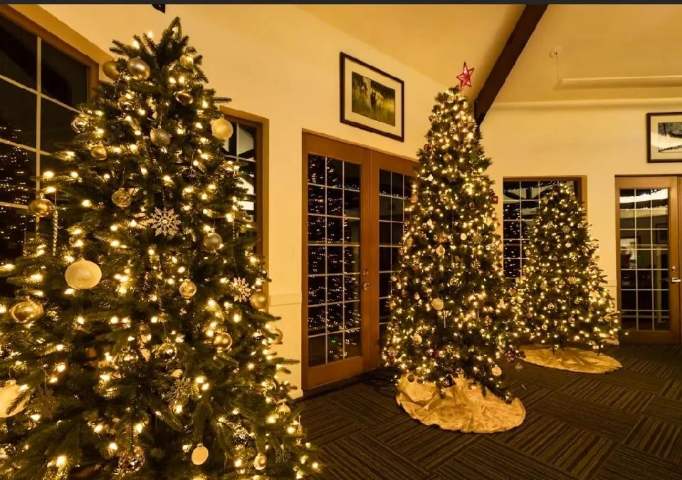 Winter in Lakeside Lodge and Suites