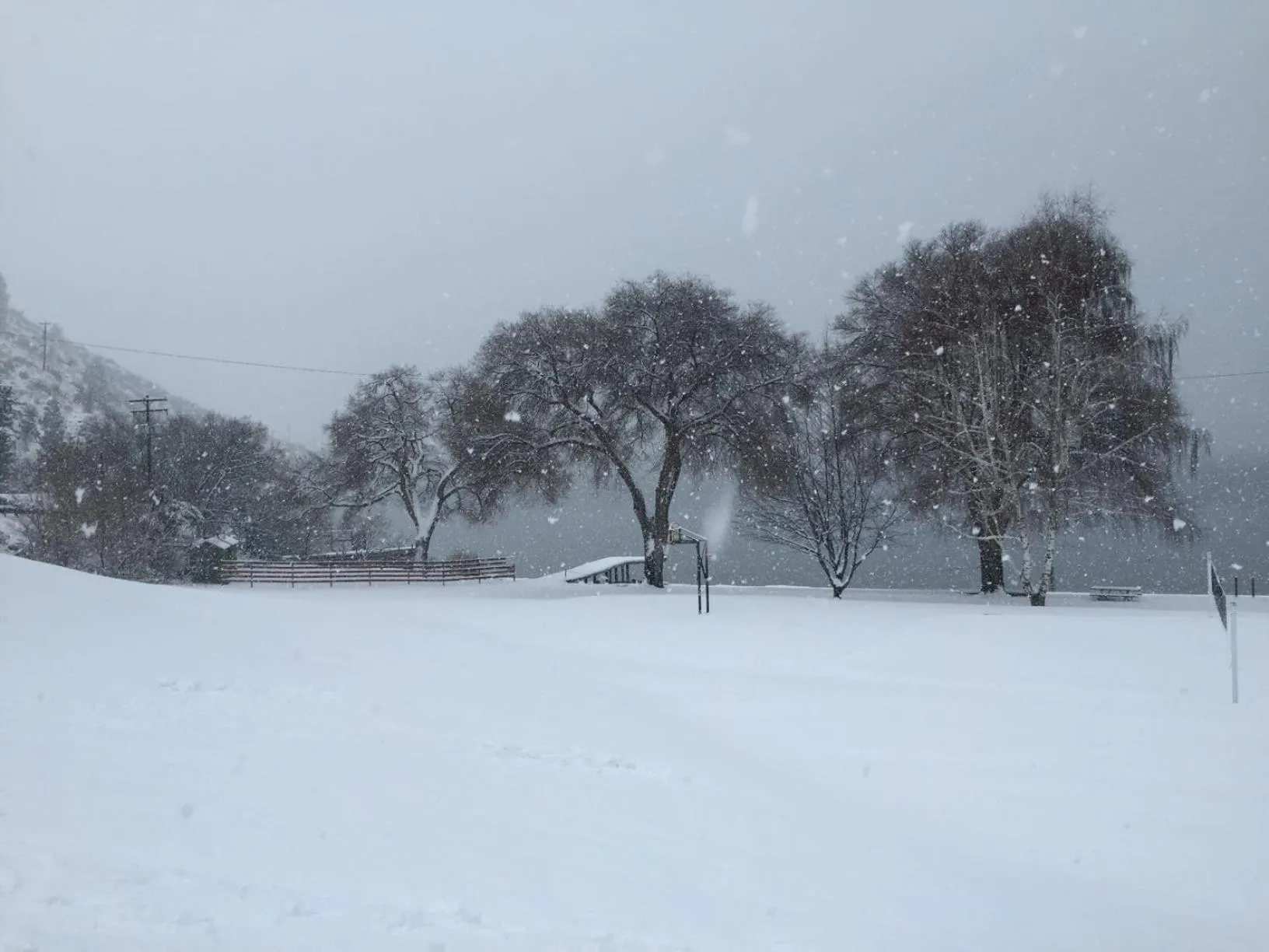 Natural landscape in Lakeside Lodge and Suites