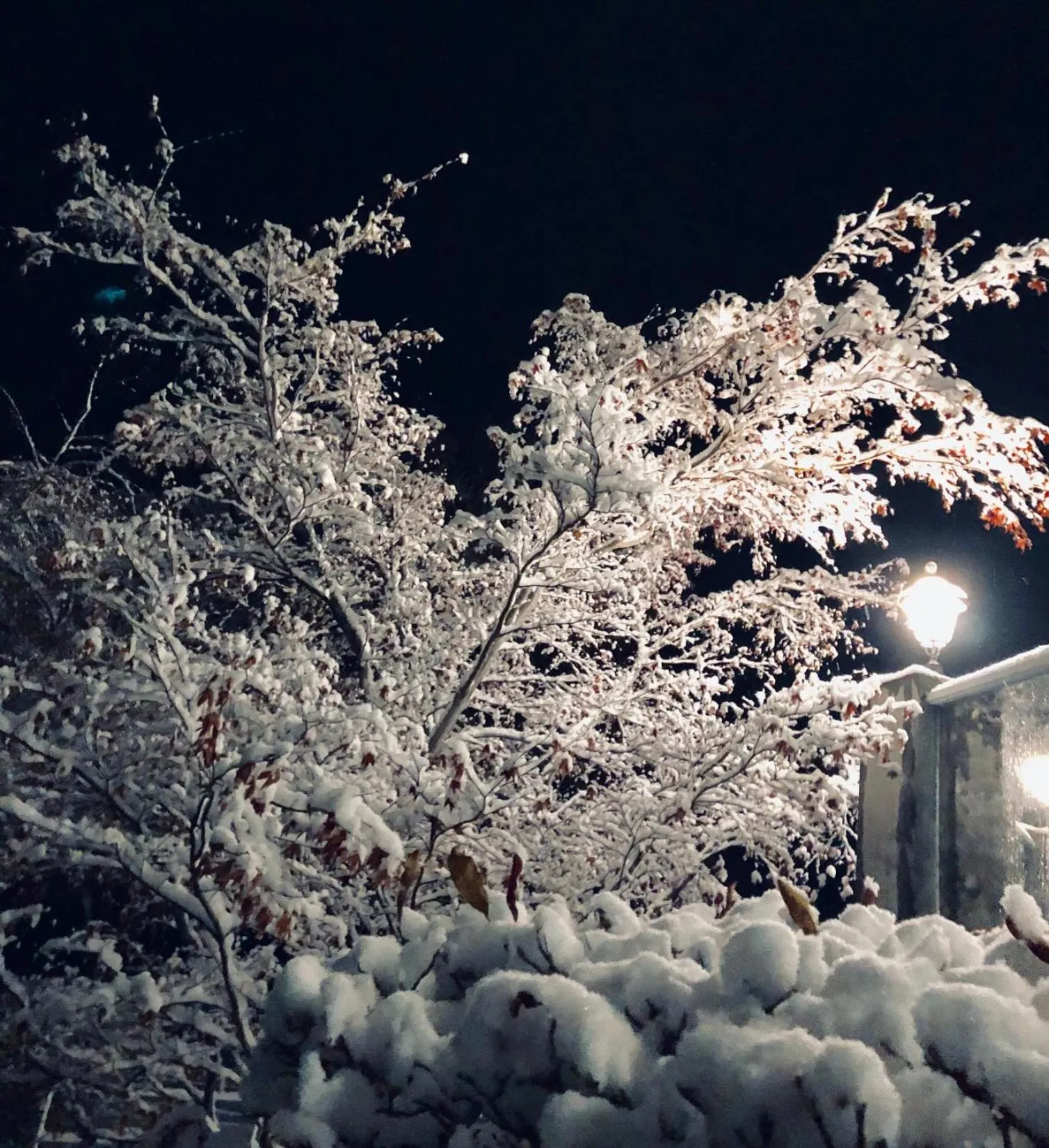 Winter in Lakeside Lodge and Suites