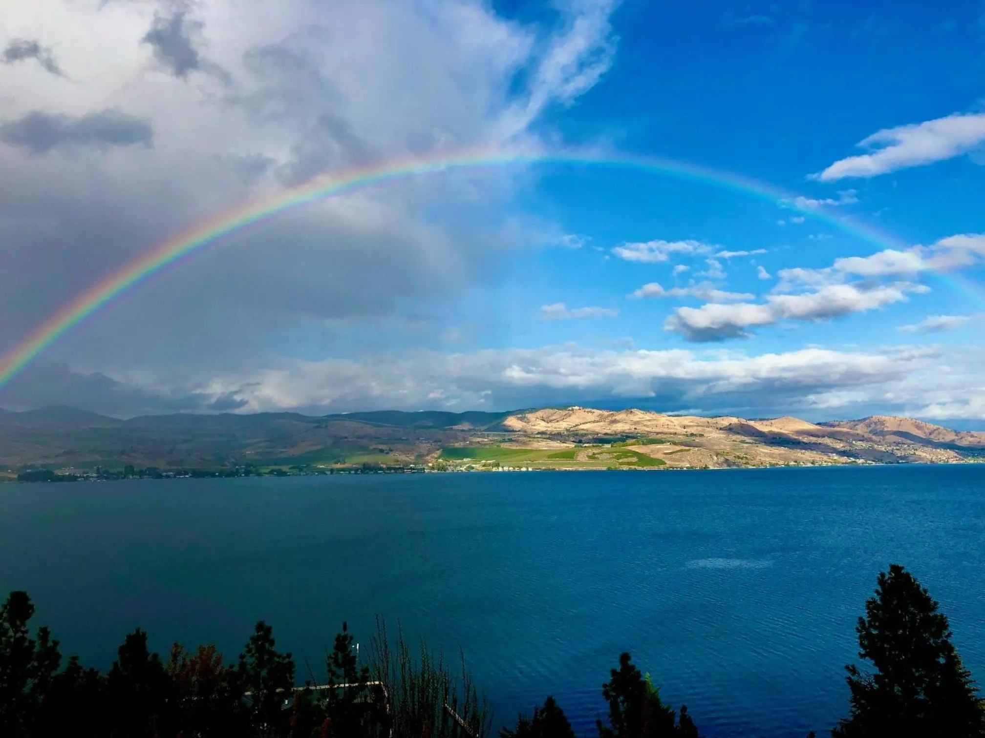 Natural landscape in Lakeside Lodge and Suites