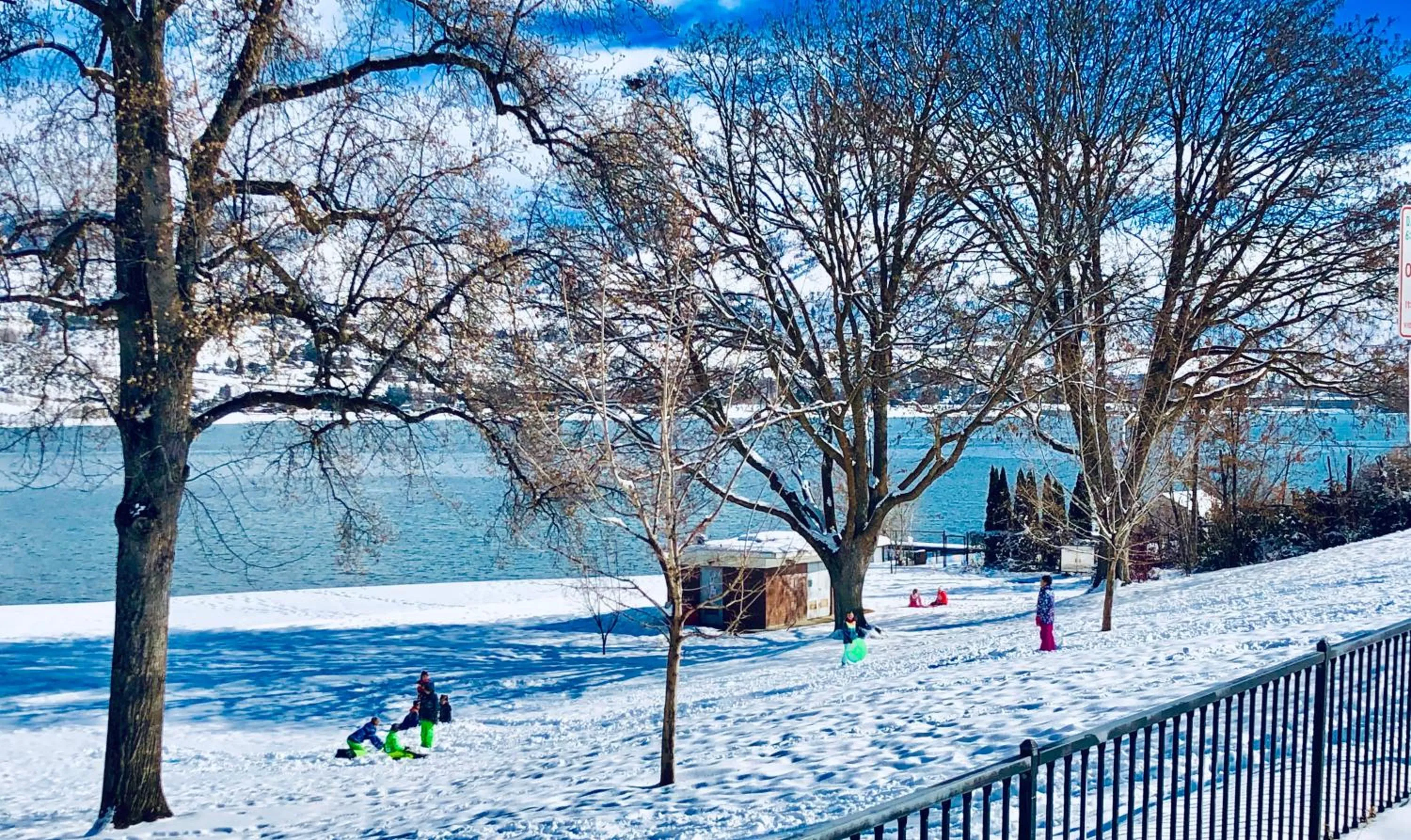 Natural landscape in Lakeside Lodge and Suites