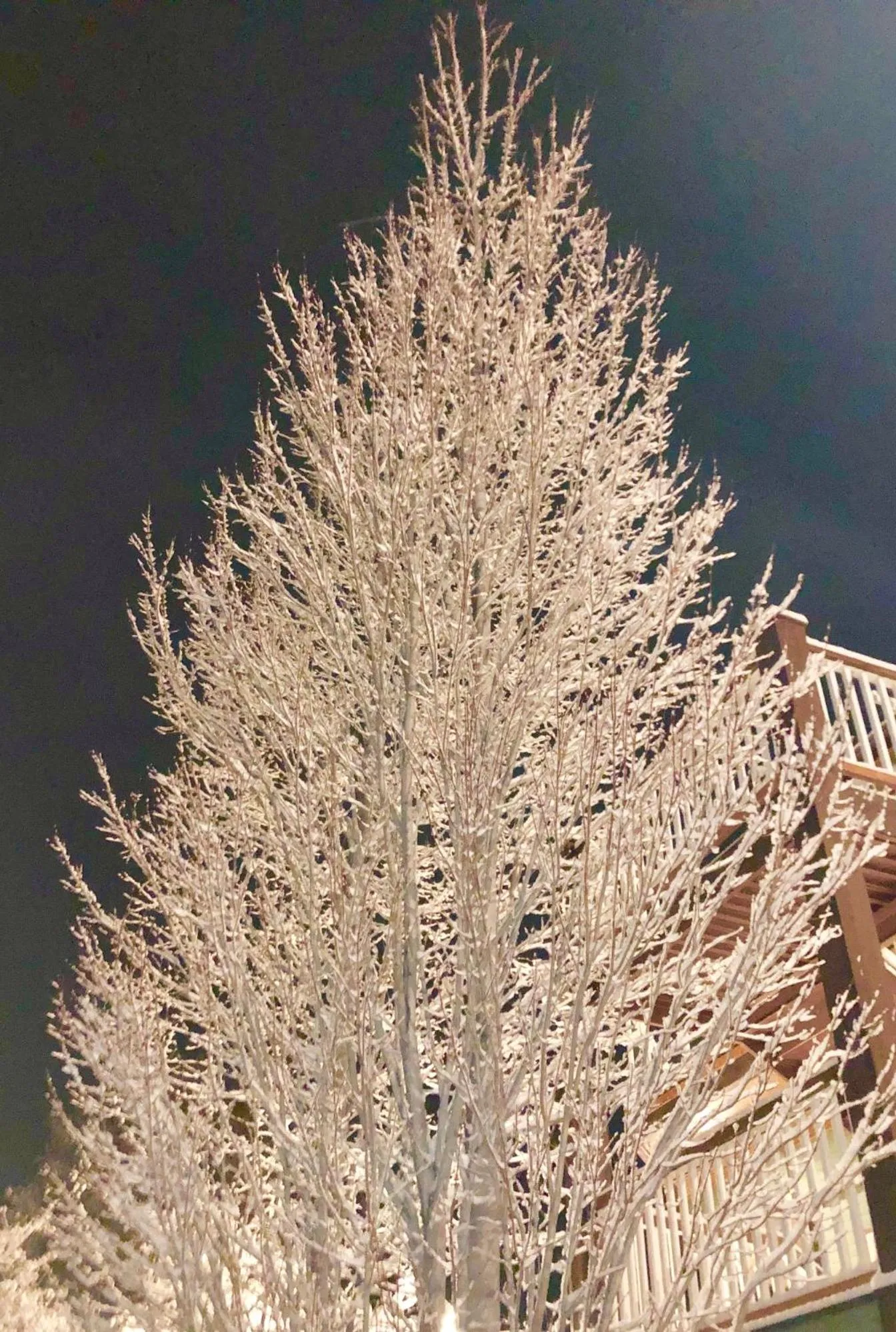 Winter in Lakeside Lodge and Suites