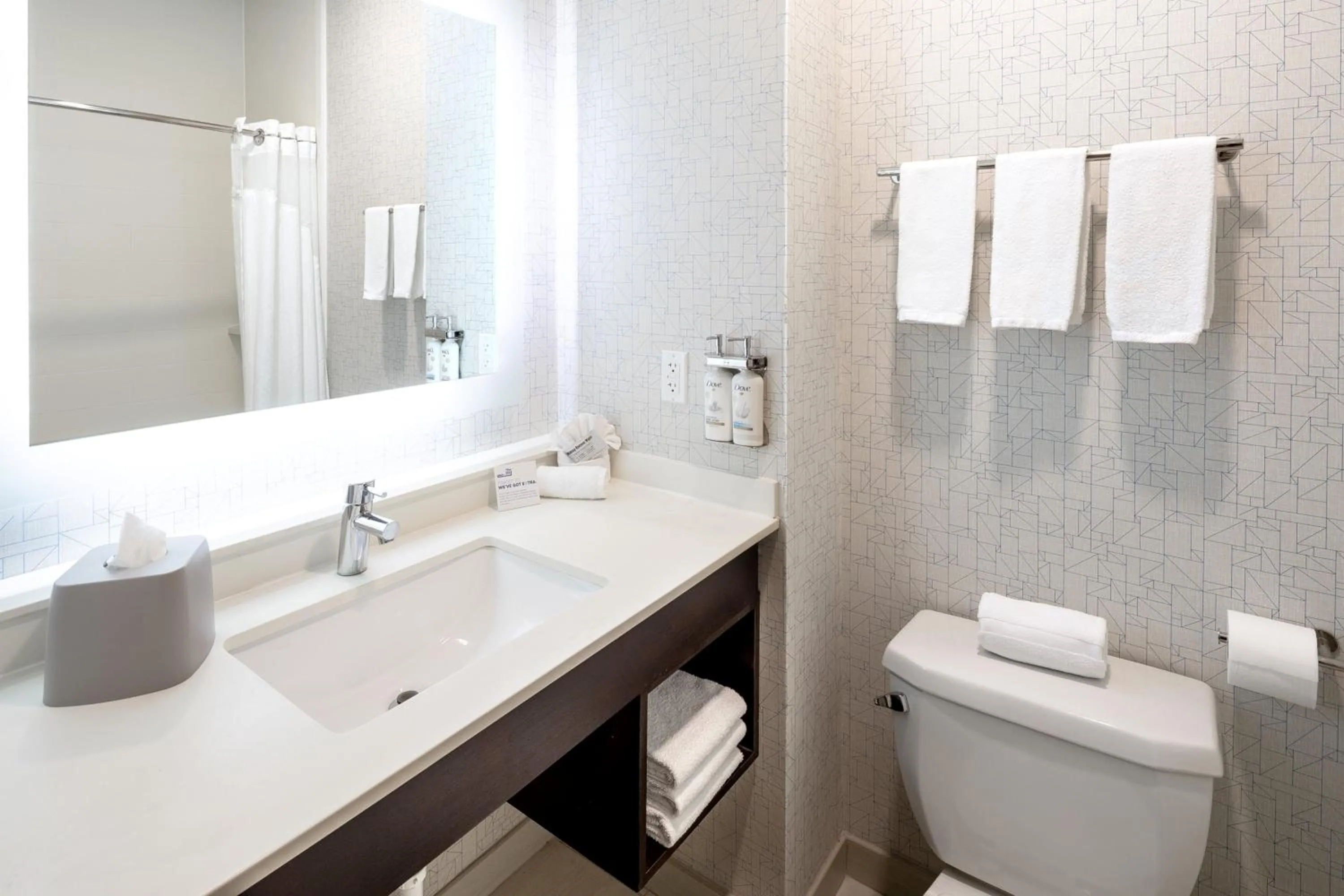 Bathroom in Holiday Inn Express & Suites Chicago West - St Charles by IHG