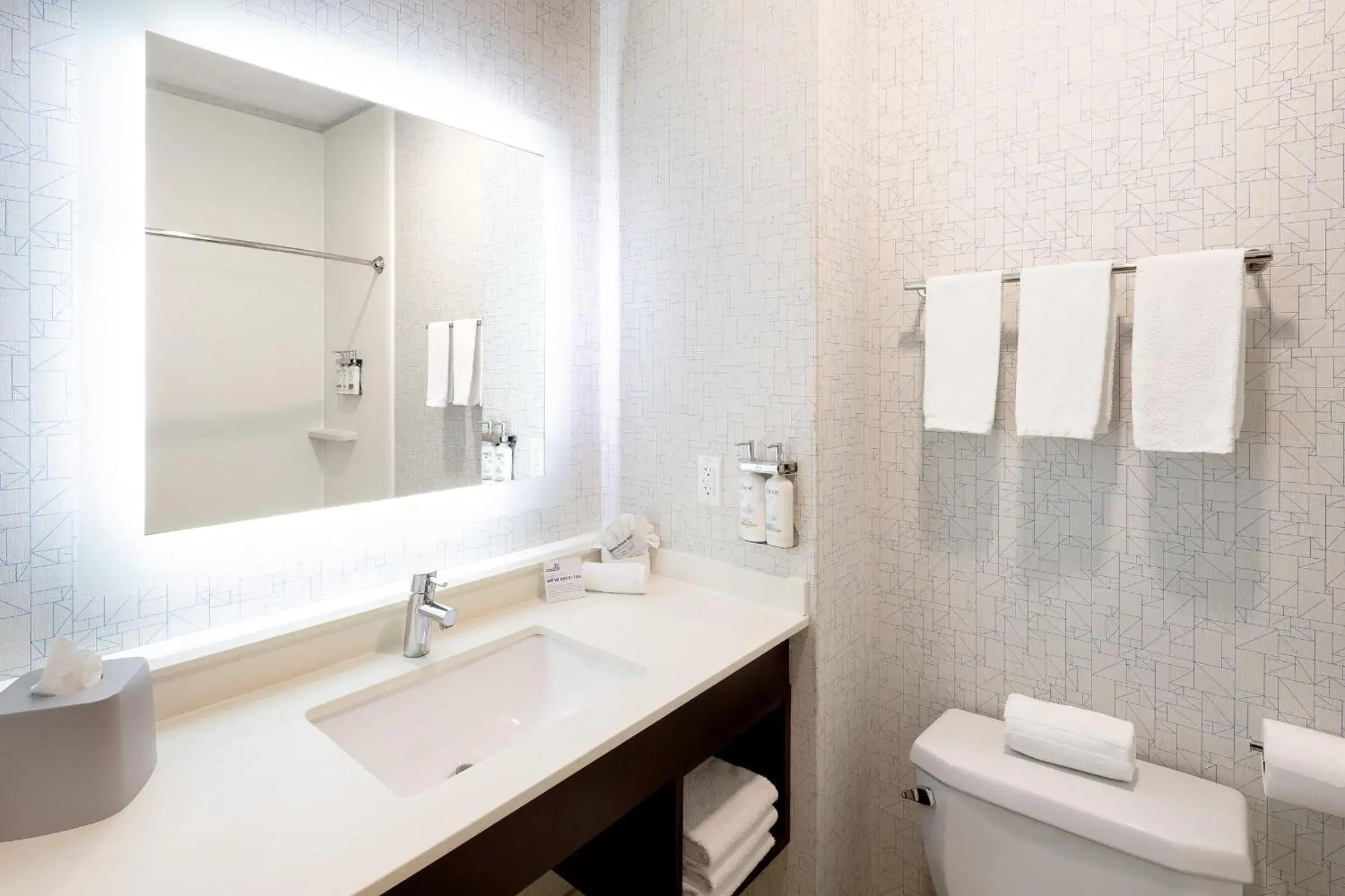 Bathroom in Holiday Inn Express & Suites Chicago West - St Charles by IHG Bathroom in Holiday Inn Express & Suites Chicago West - St Charles by IHG