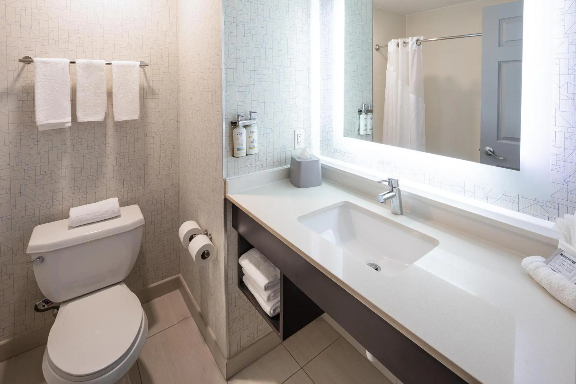 Toilet in Holiday Inn Express & Suites Chicago West - St Charles by IHG