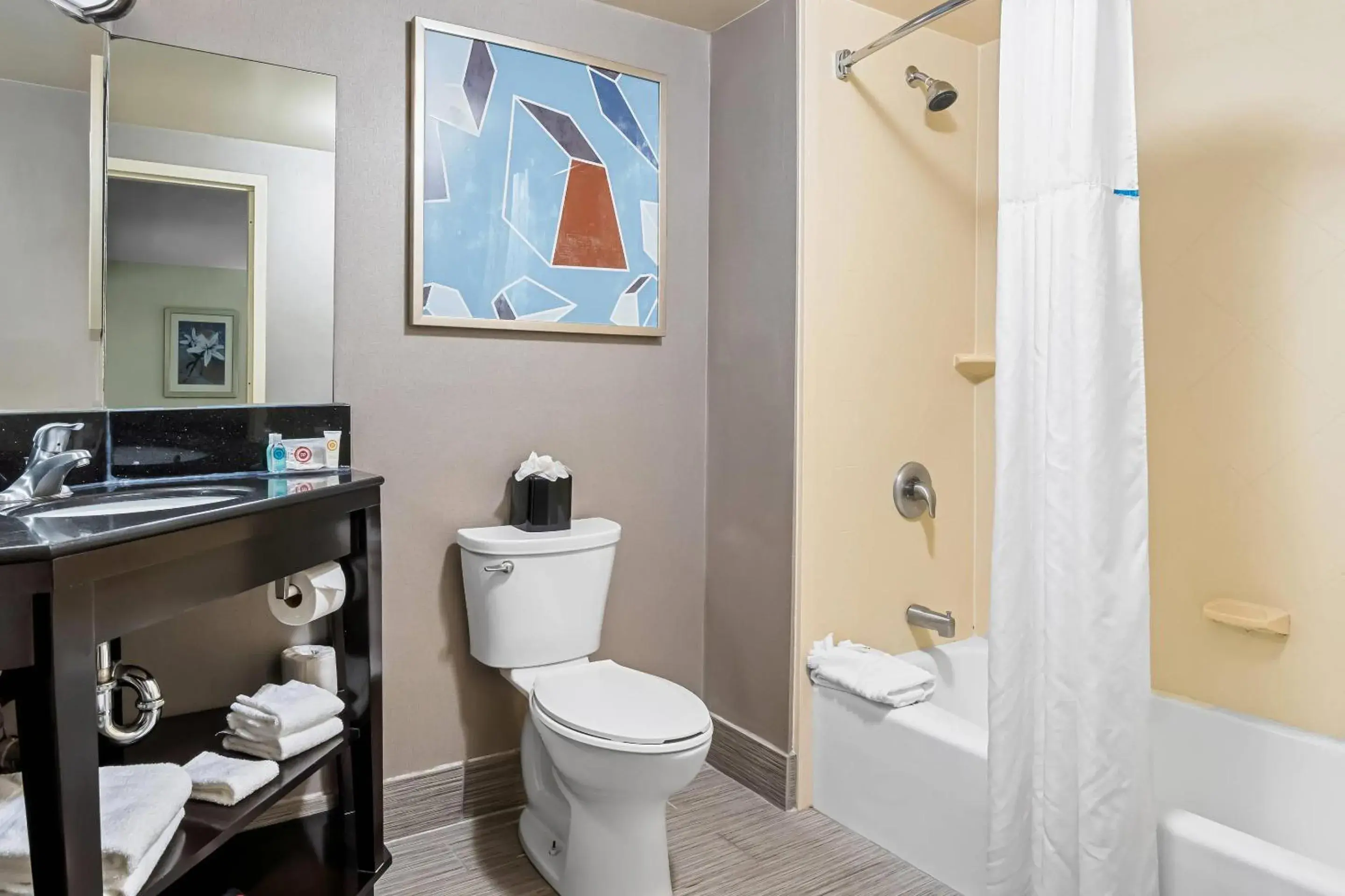 Bedroom in Comfort Inn Bedroom in Comfort Inn