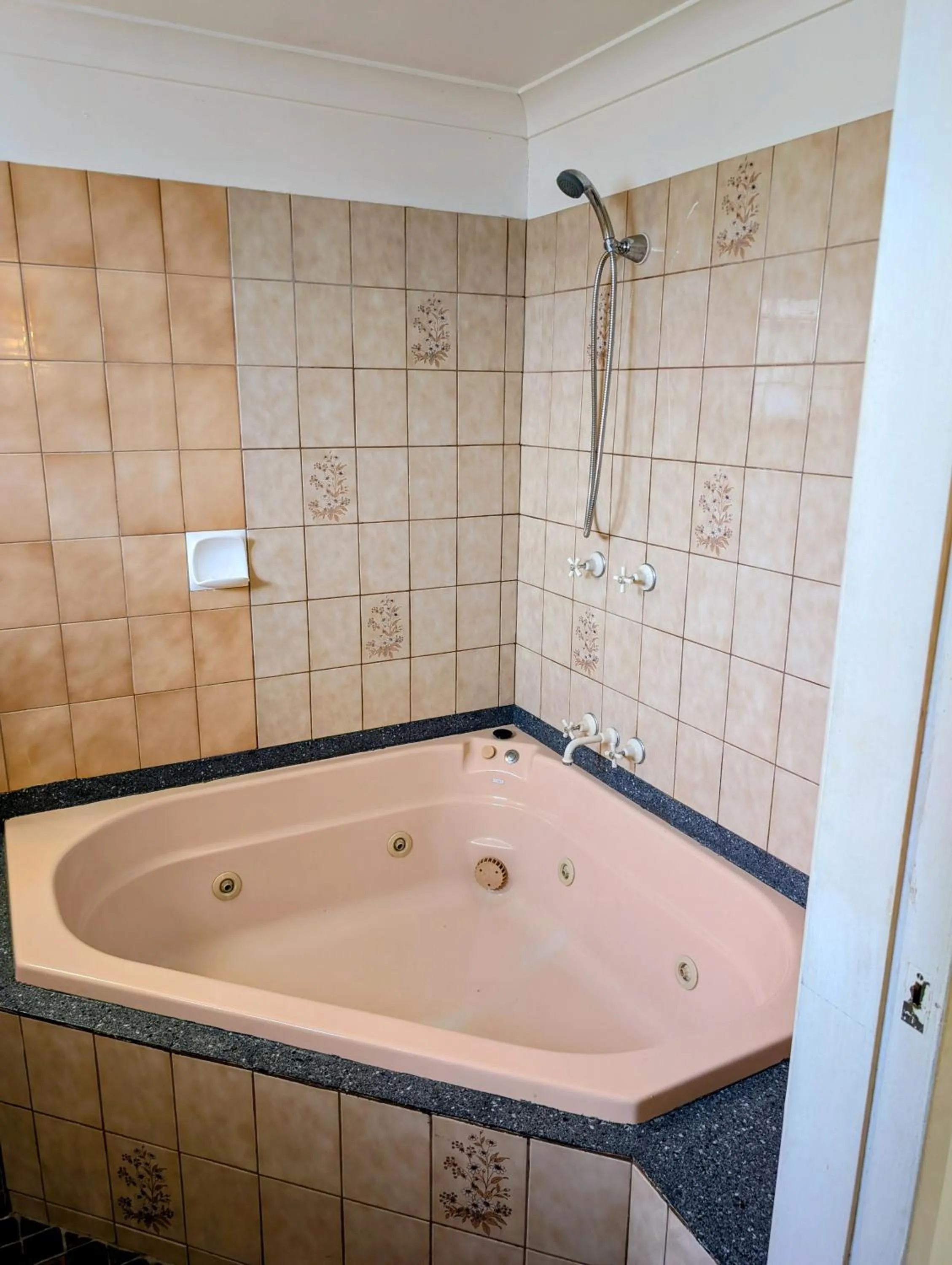 Shower in Hampton Villa Motel