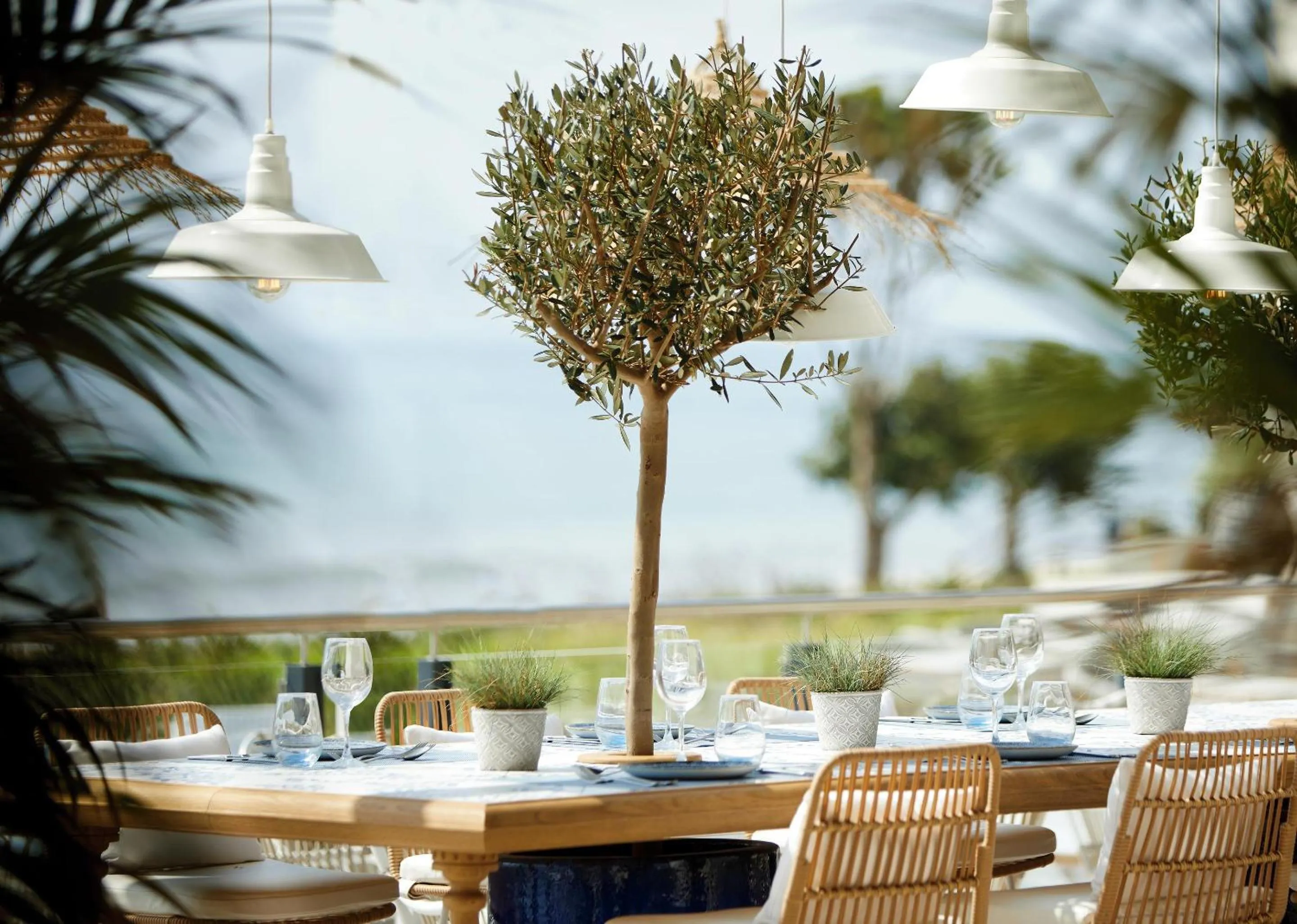 Restaurant/places to eat in Ikos Andalusia