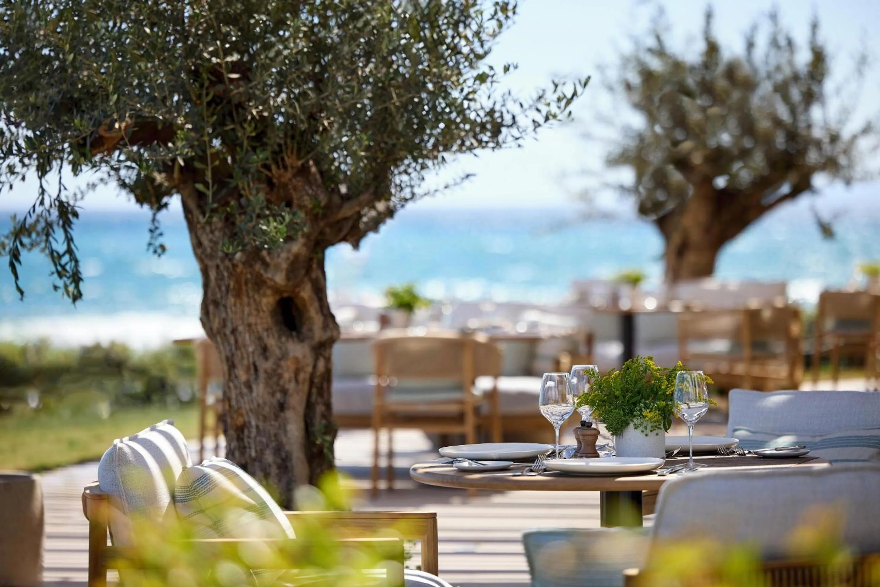 Restaurant/places to eat in Ikos Andalusia