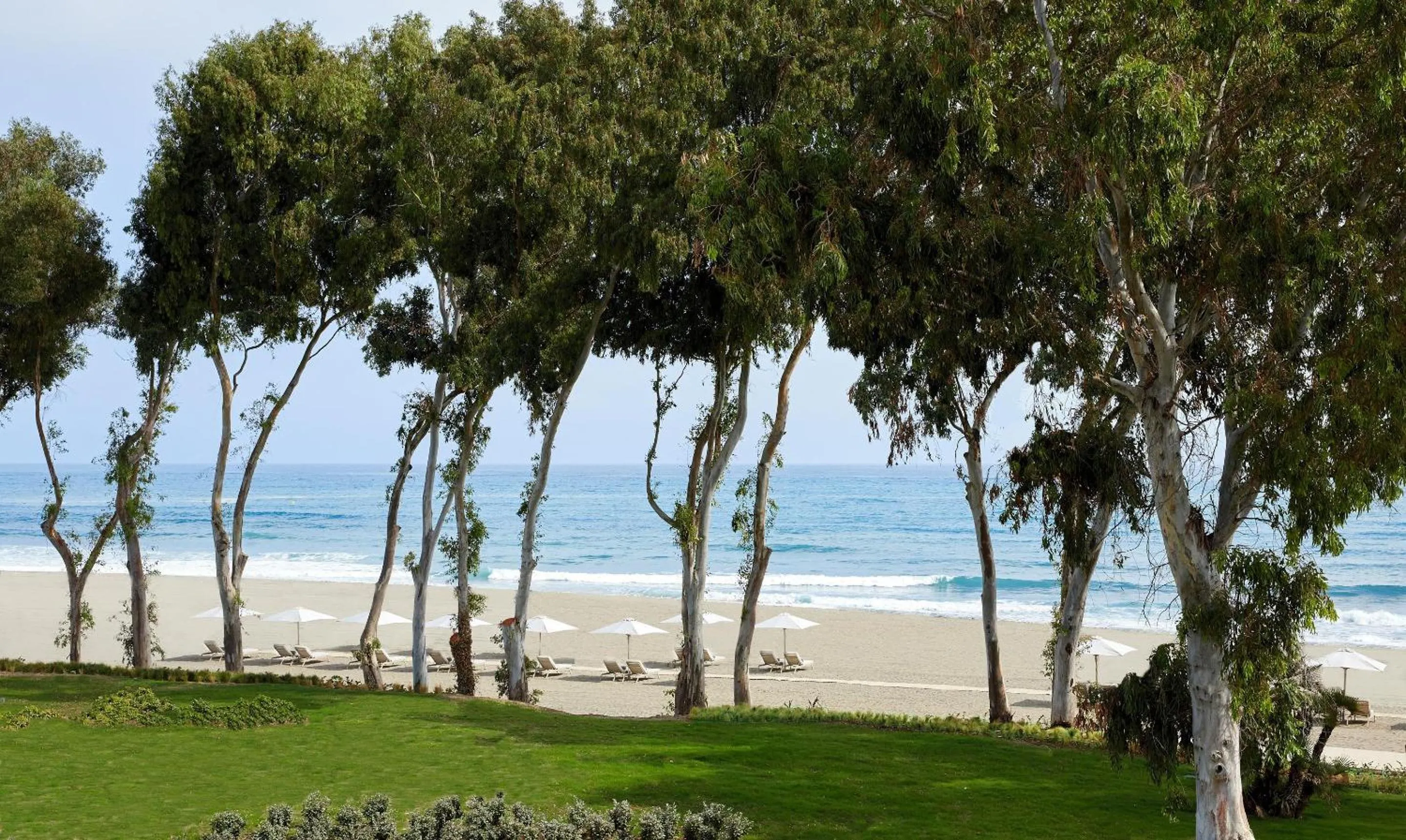 Beach in Ikos Andalusia