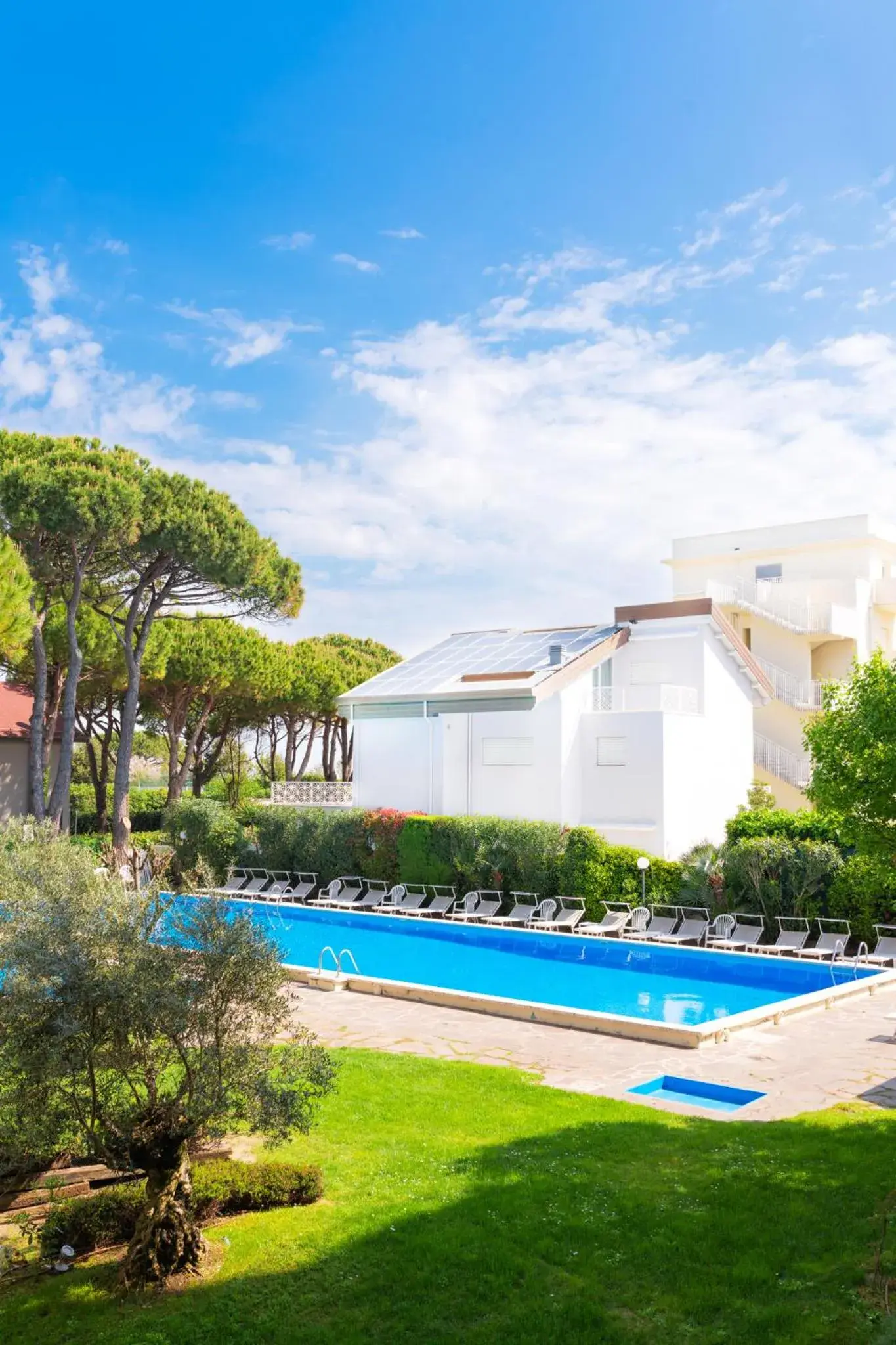 Swimming pool in Hotel Doge Swimming pool in Hotel Doge