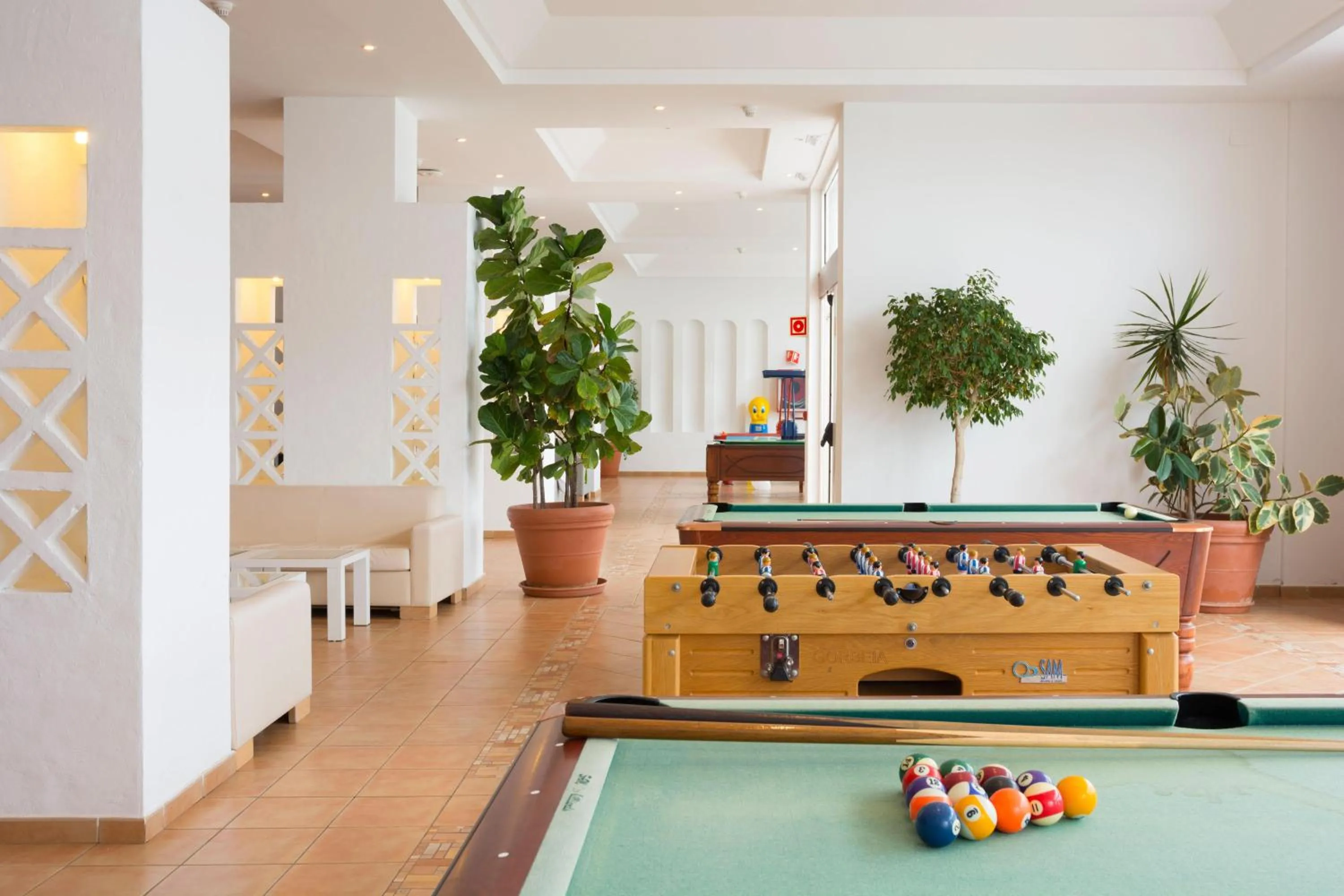 Activities in Club Jandía Princess