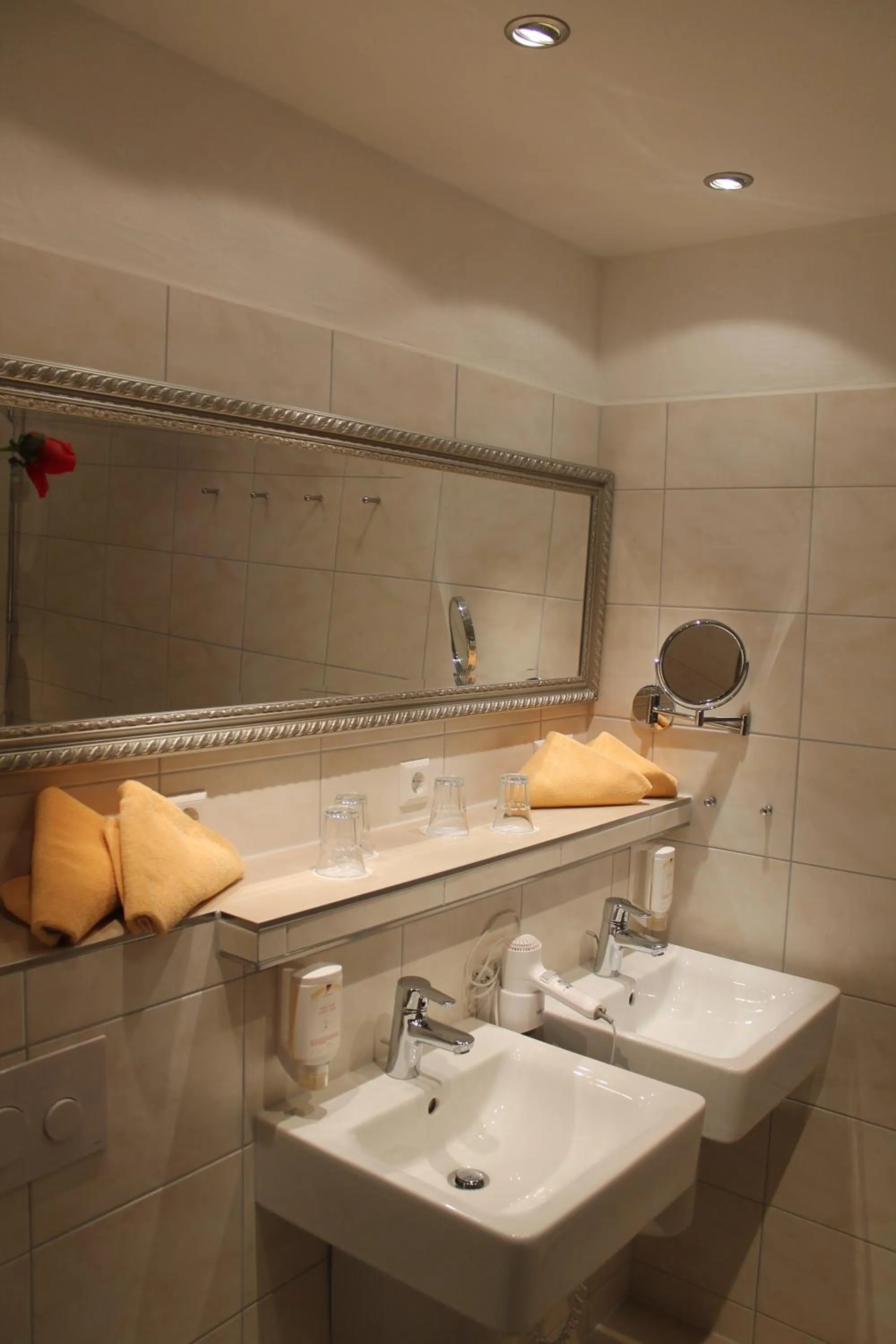 Shower in Hotel & Restaurant Grüner Baum - Die Grüne Oase Am Feldberg