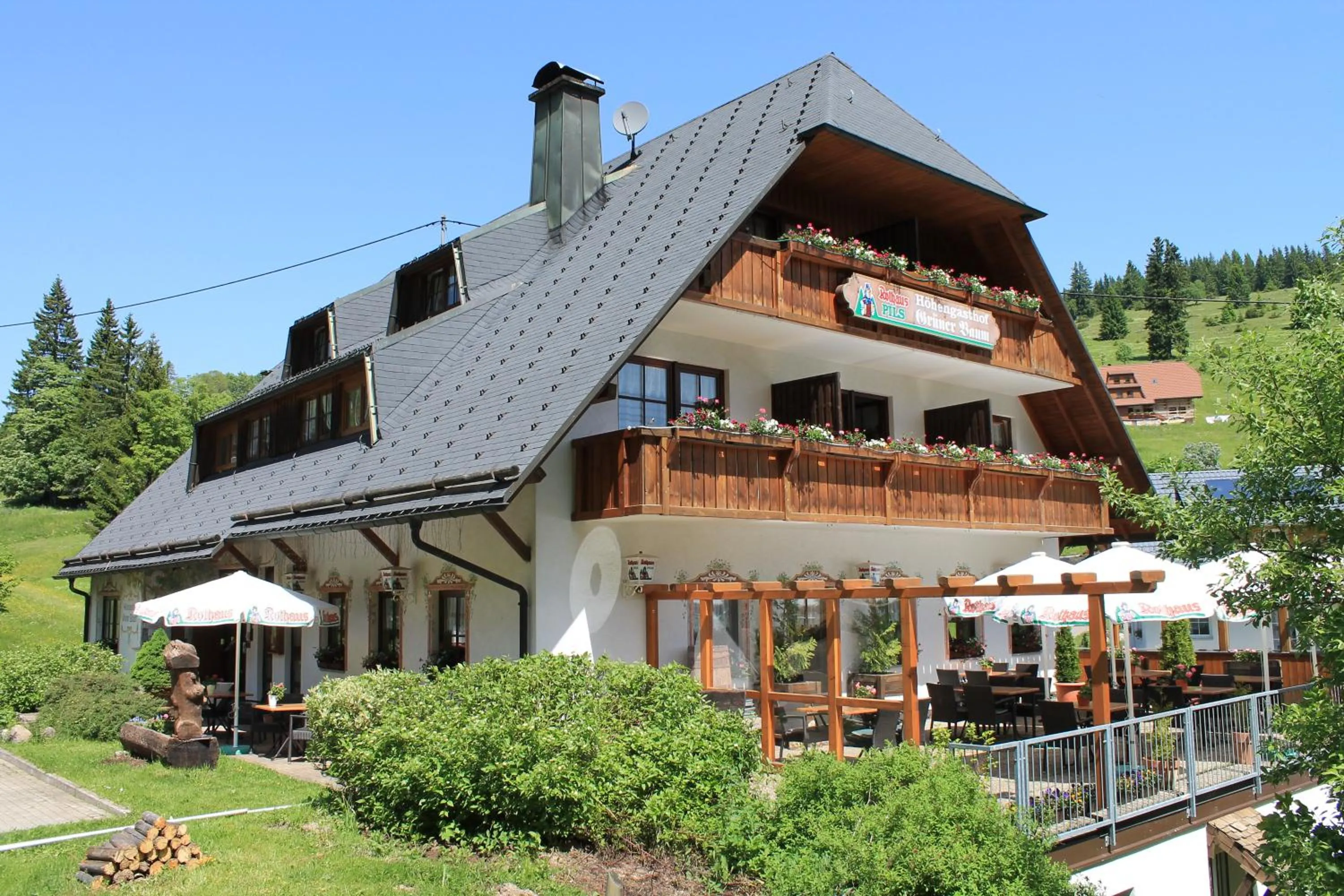Property building in Hotel & Restaurant Grüner Baum - Die Grüne Oase Am Feldberg