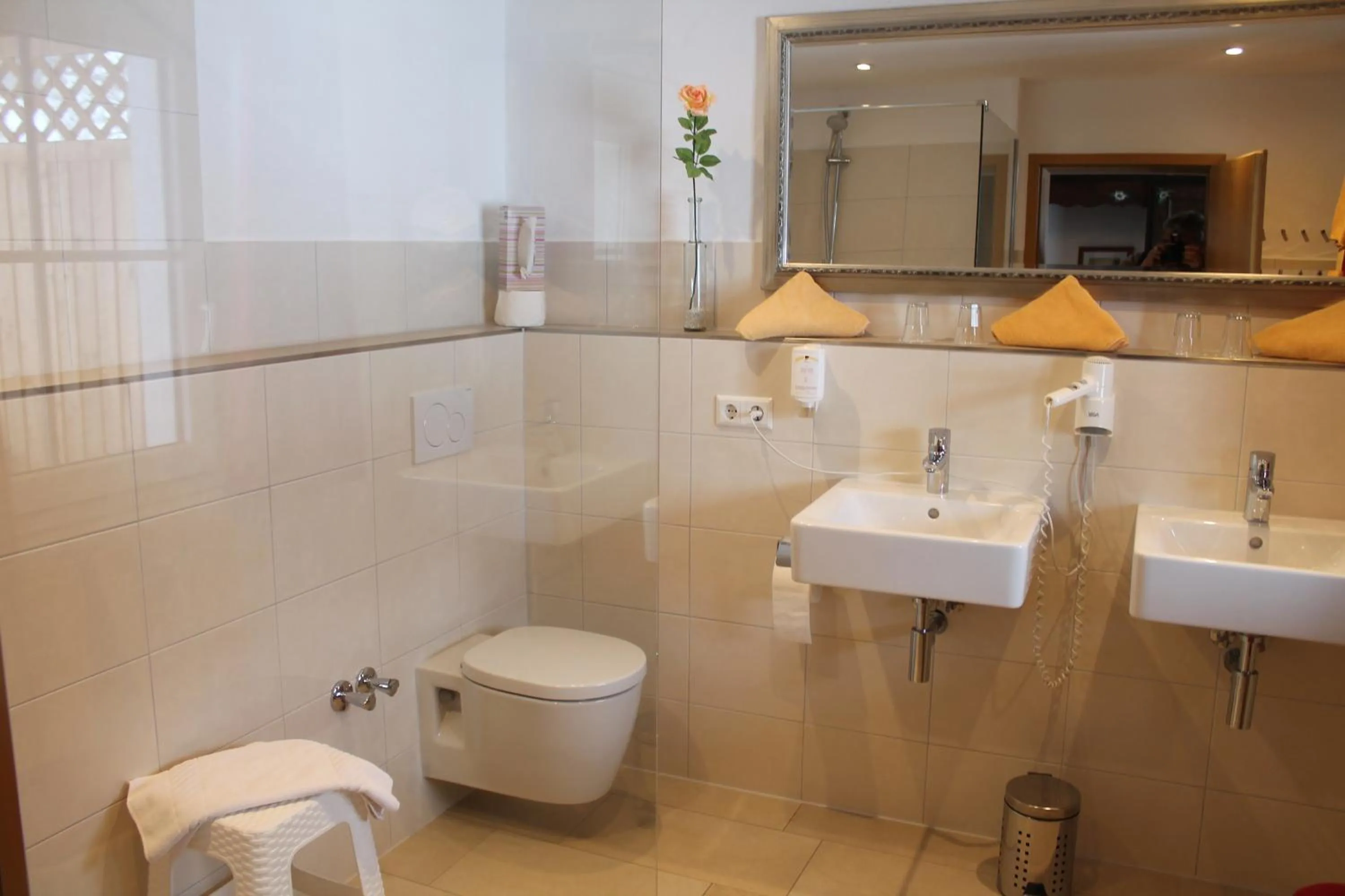 Toilet in Hotel & Restaurant Grüner Baum - Die Grüne Oase Am Feldberg