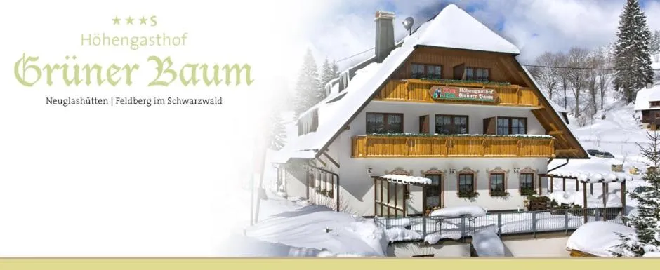 Property building in Hotel & Restaurant Grüner Baum - Die Grüne Oase Am Feldberg