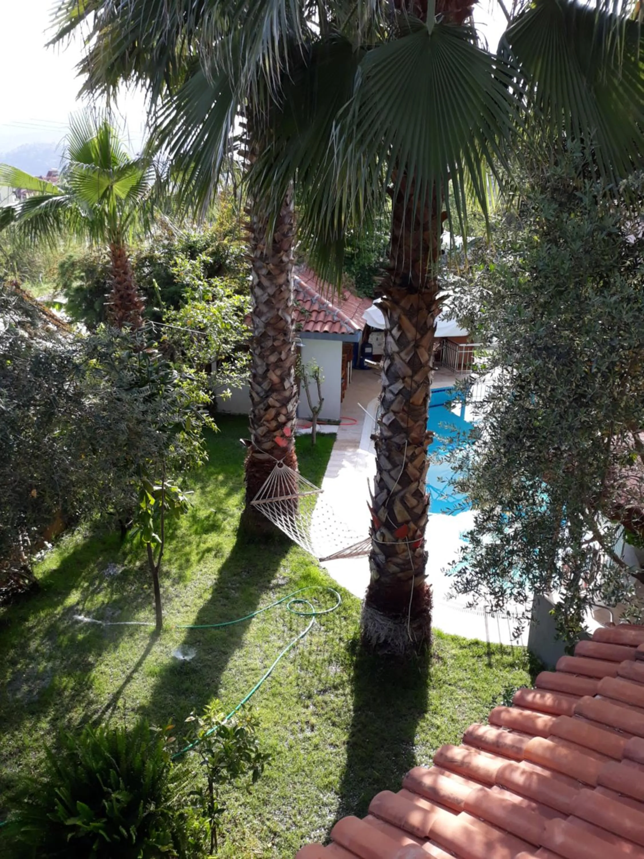Natural landscape in Jasmin Apart Otel