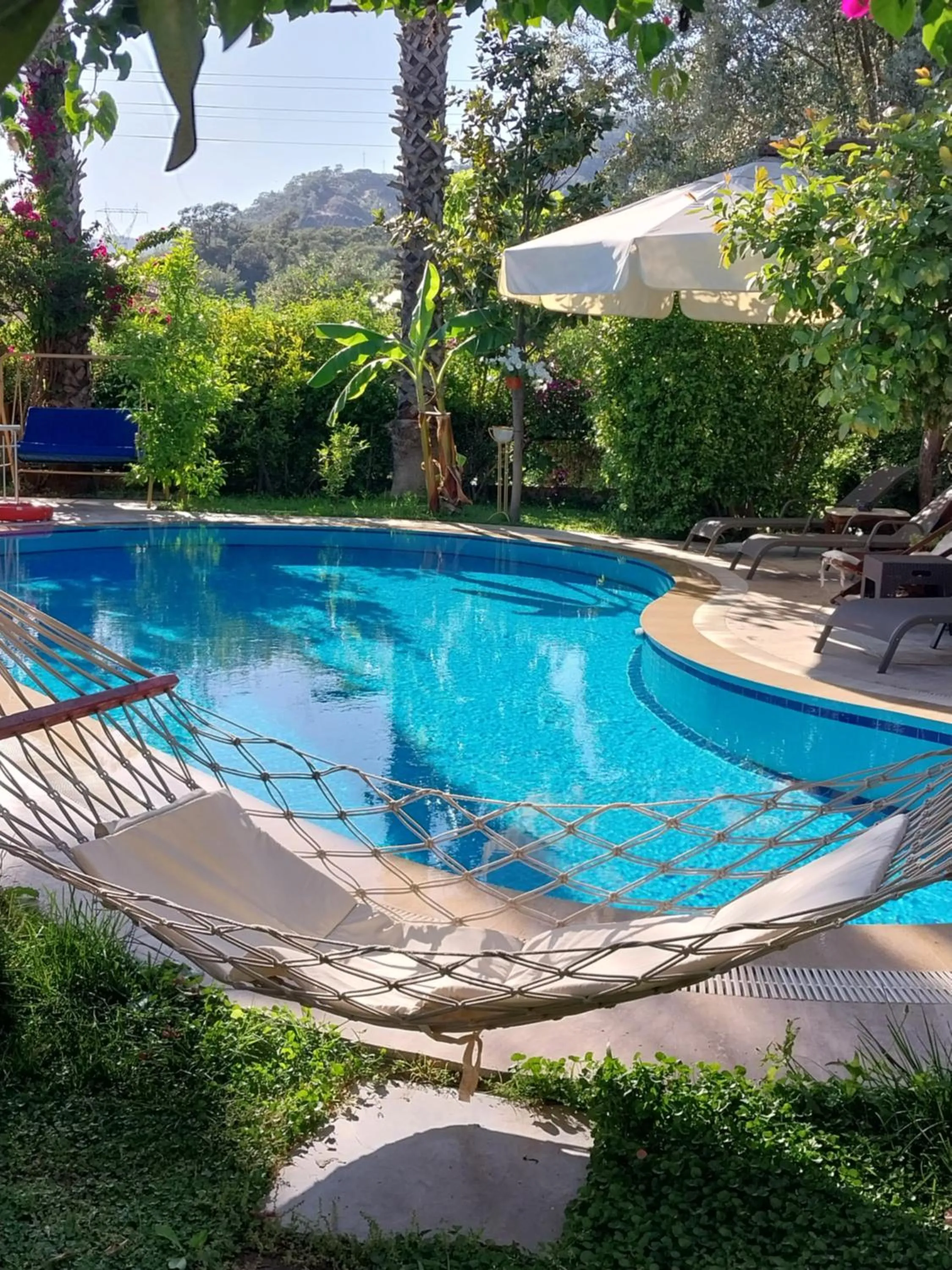 Garden in Jasmin Apart Otel