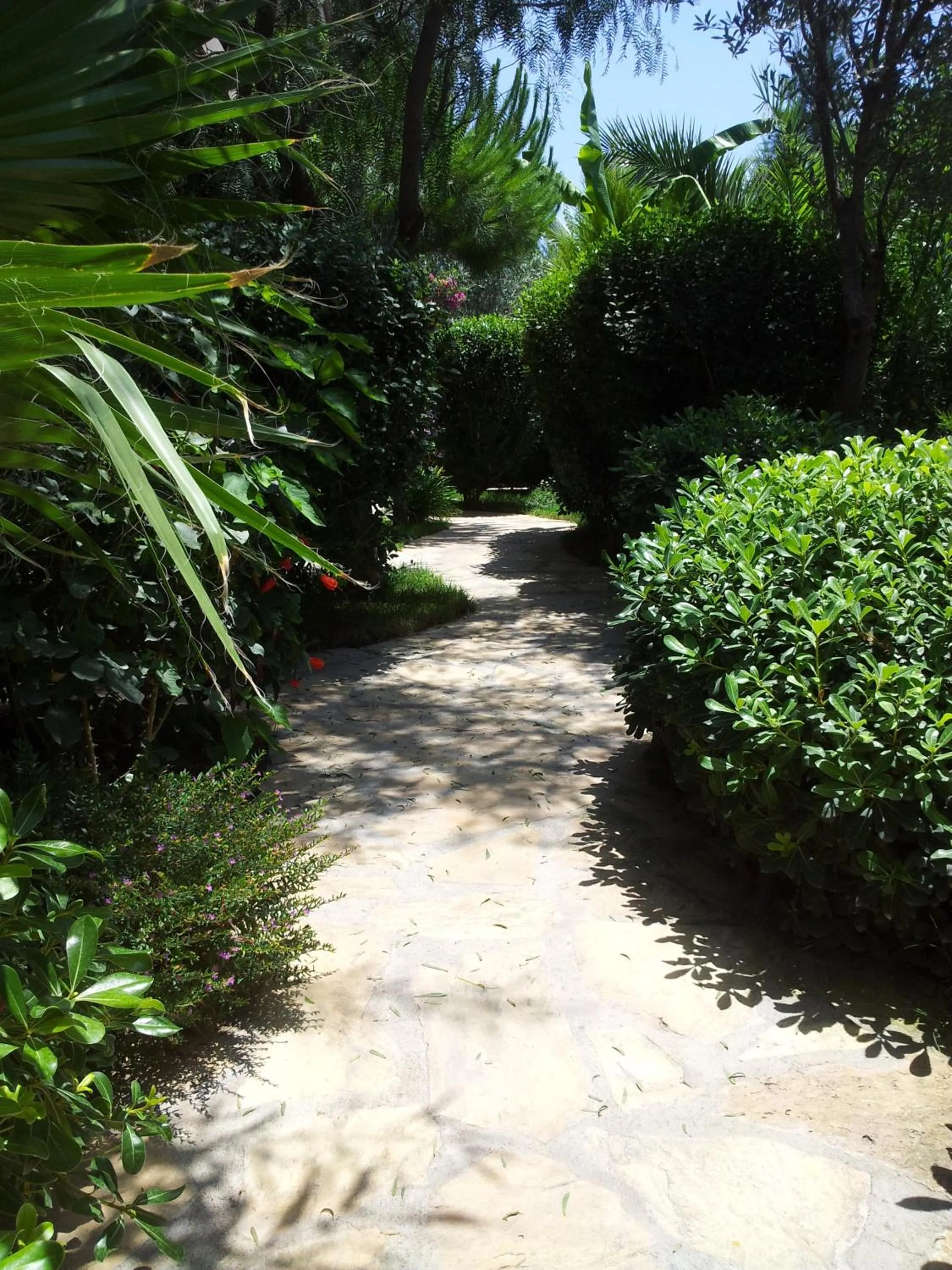 Garden in Jasmin Apart Otel