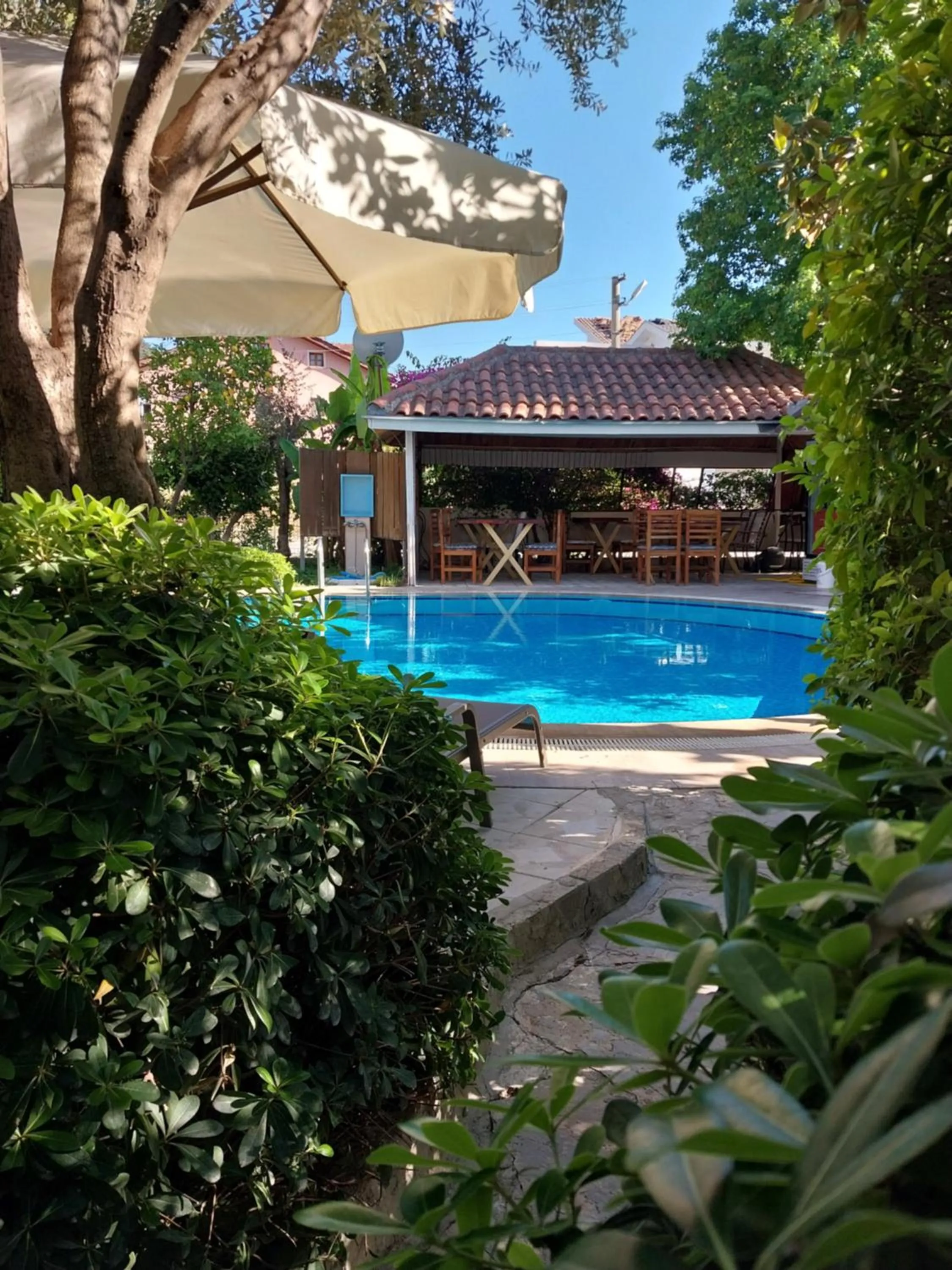 Garden view in Jasmin Apart Otel