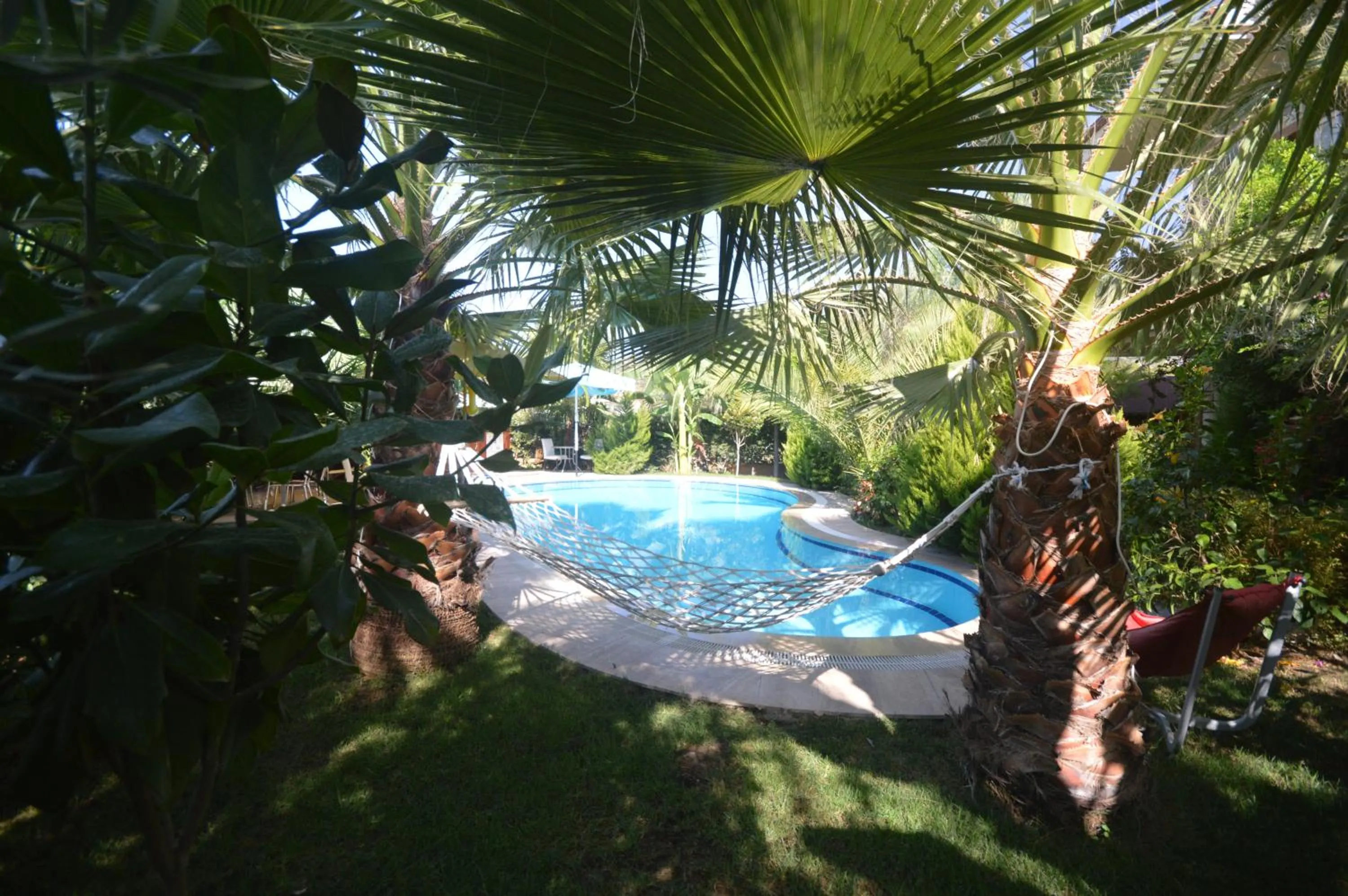 Garden view in Jasmin Apart Otel