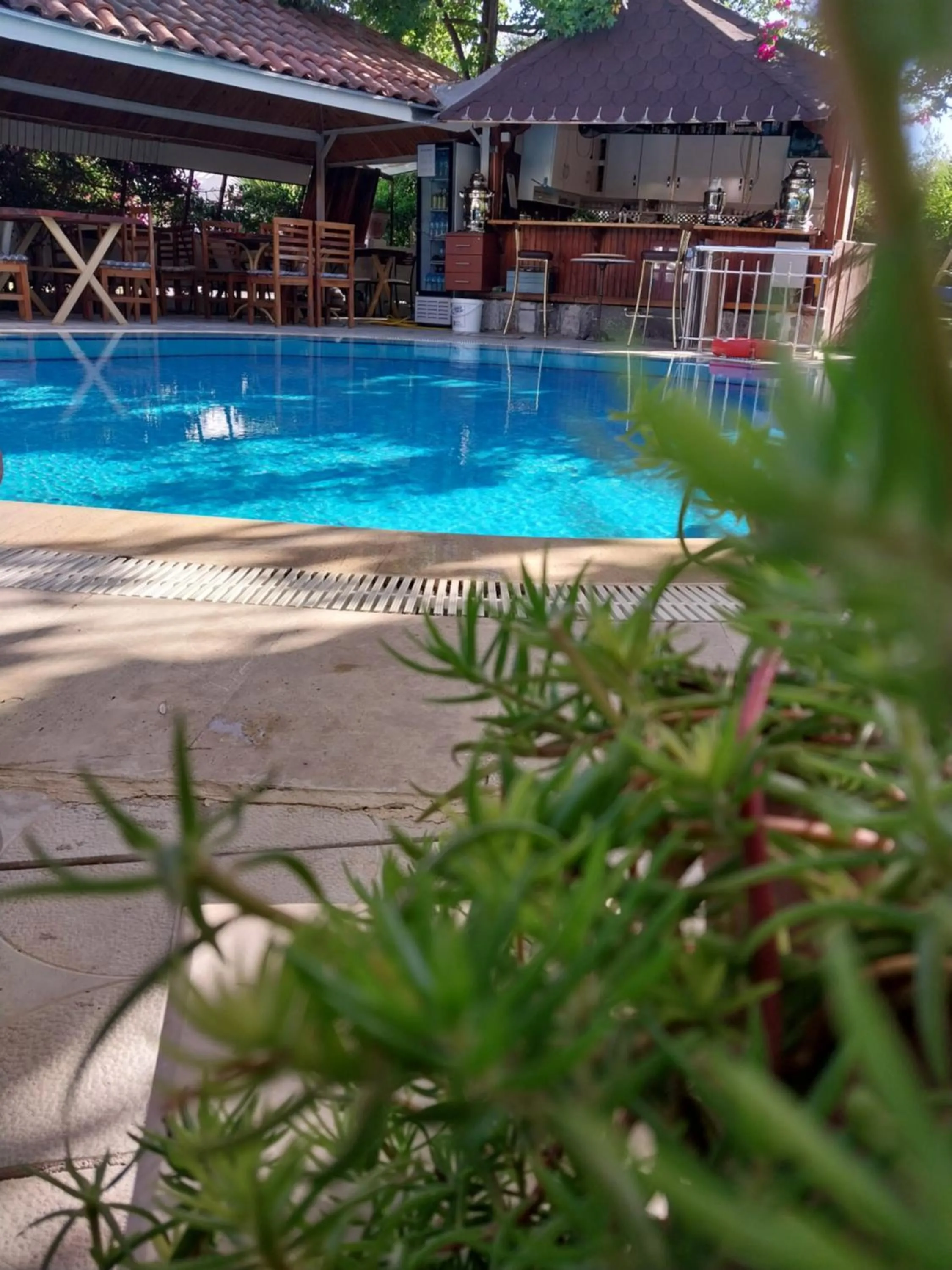 Pool view in Jasmin Apart Otel