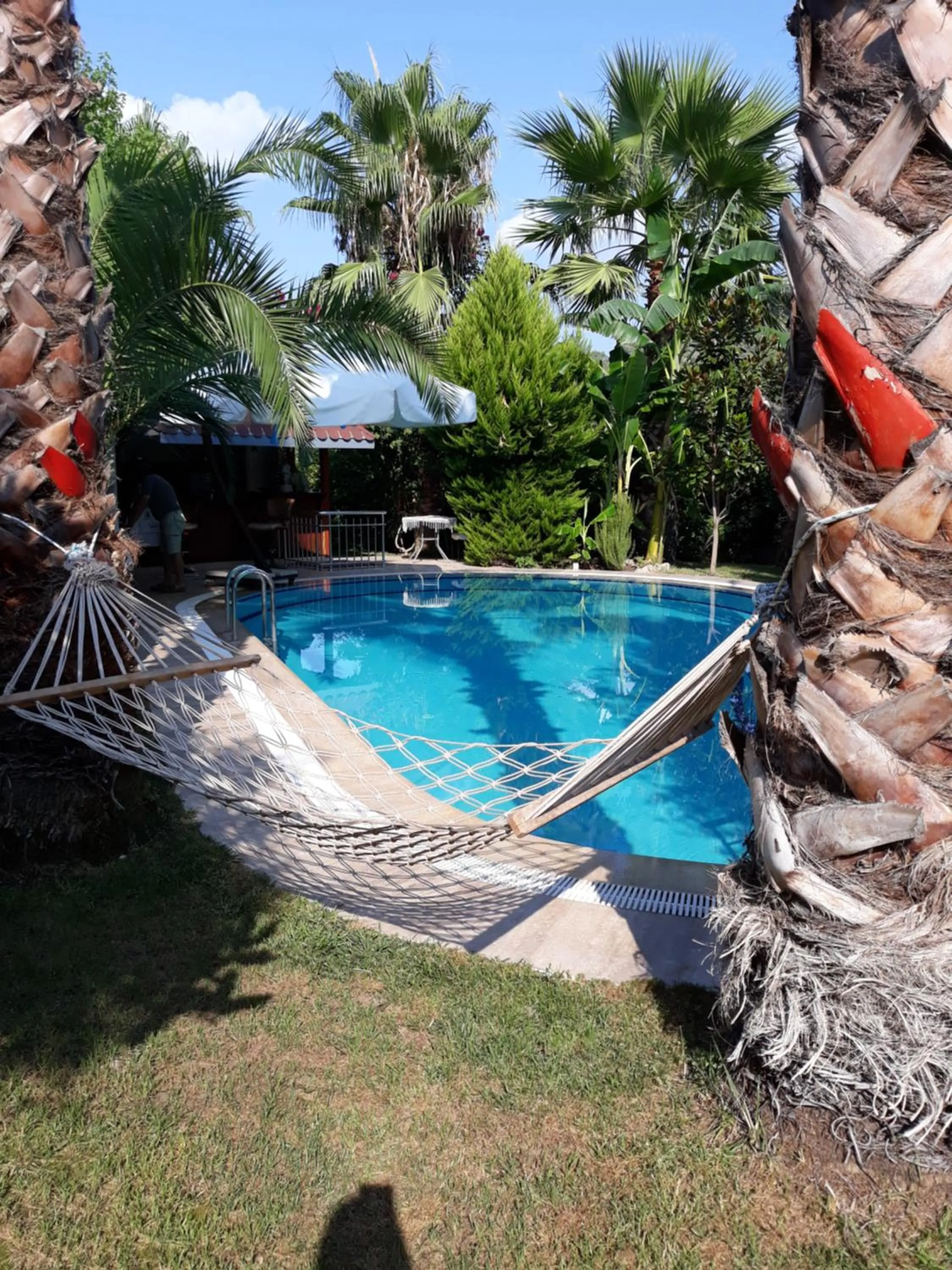 Garden in Jasmin Apart Otel