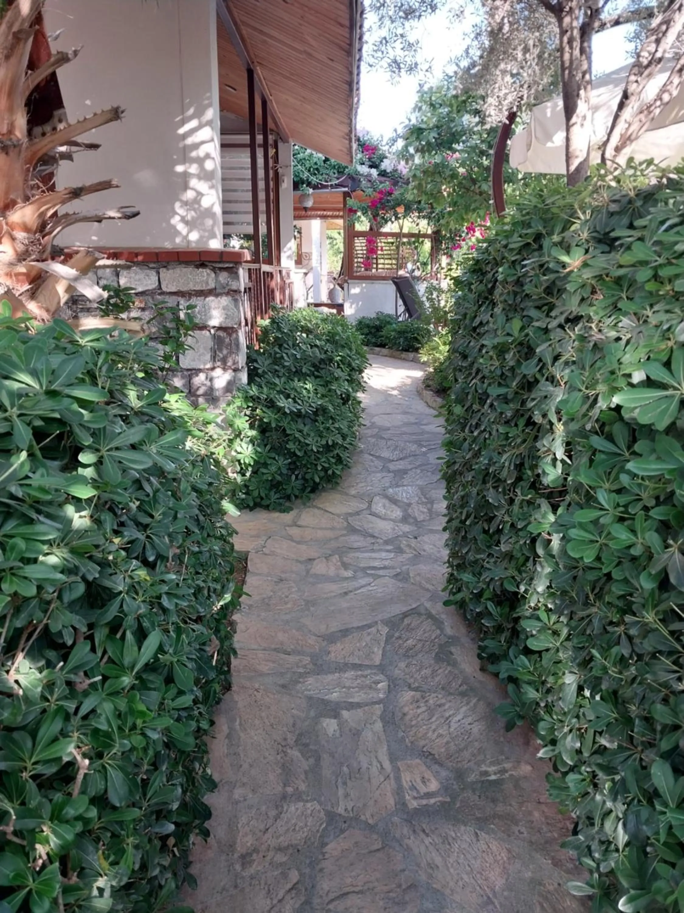 Day in Jasmin Apart Otel