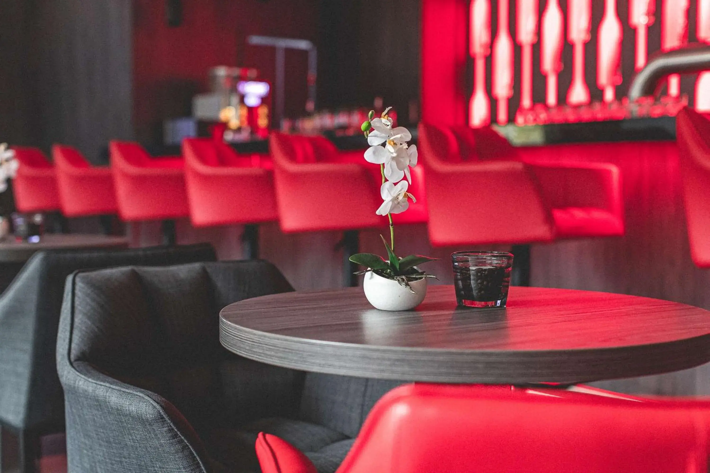 Lounge or bar in Best Western Plaza Hotel Mannheim Lounge or bar in Best Western Plaza Hotel Mannheim