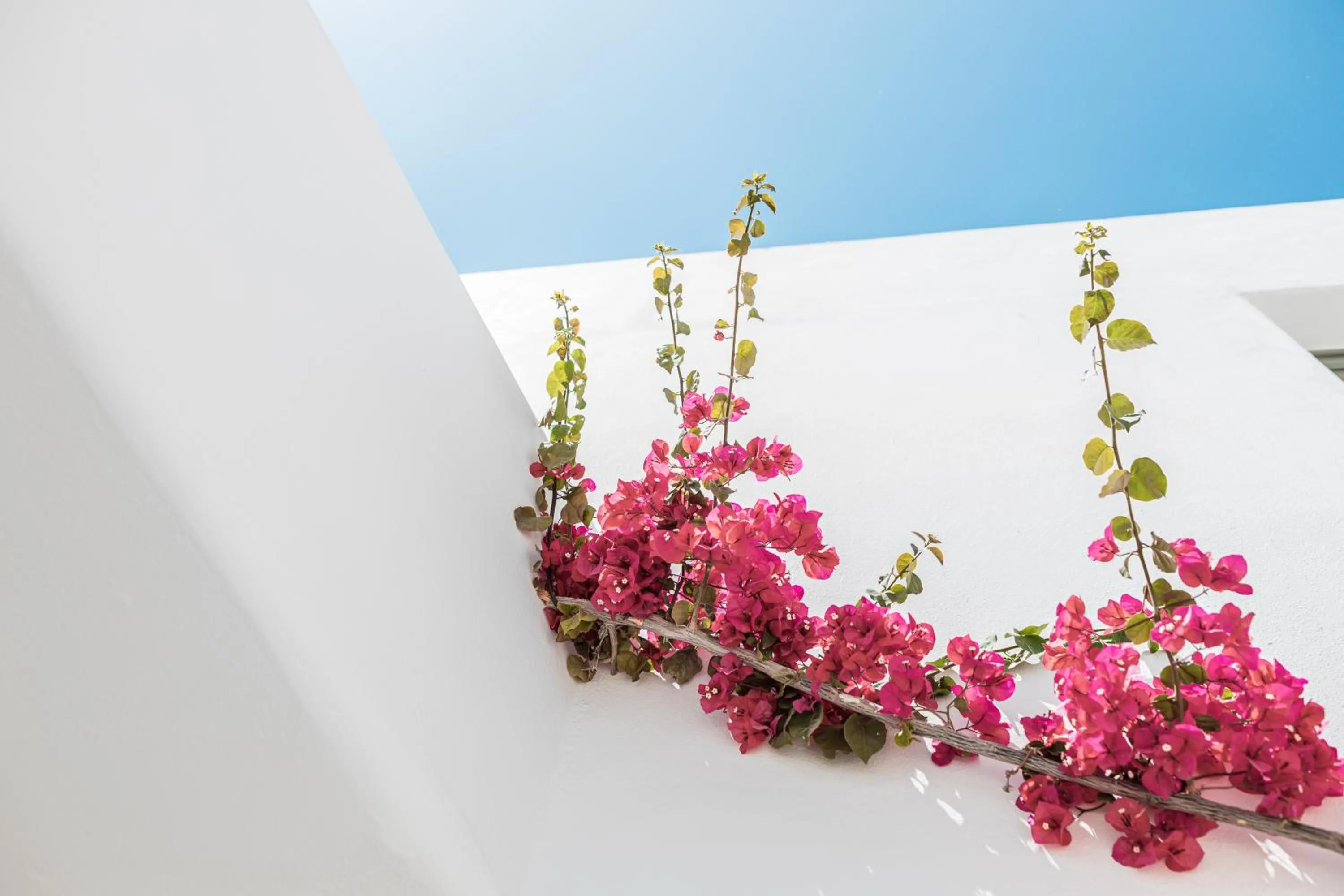 Decorative detail in Bohemian Luxury Boutique Hotel, Adults Only