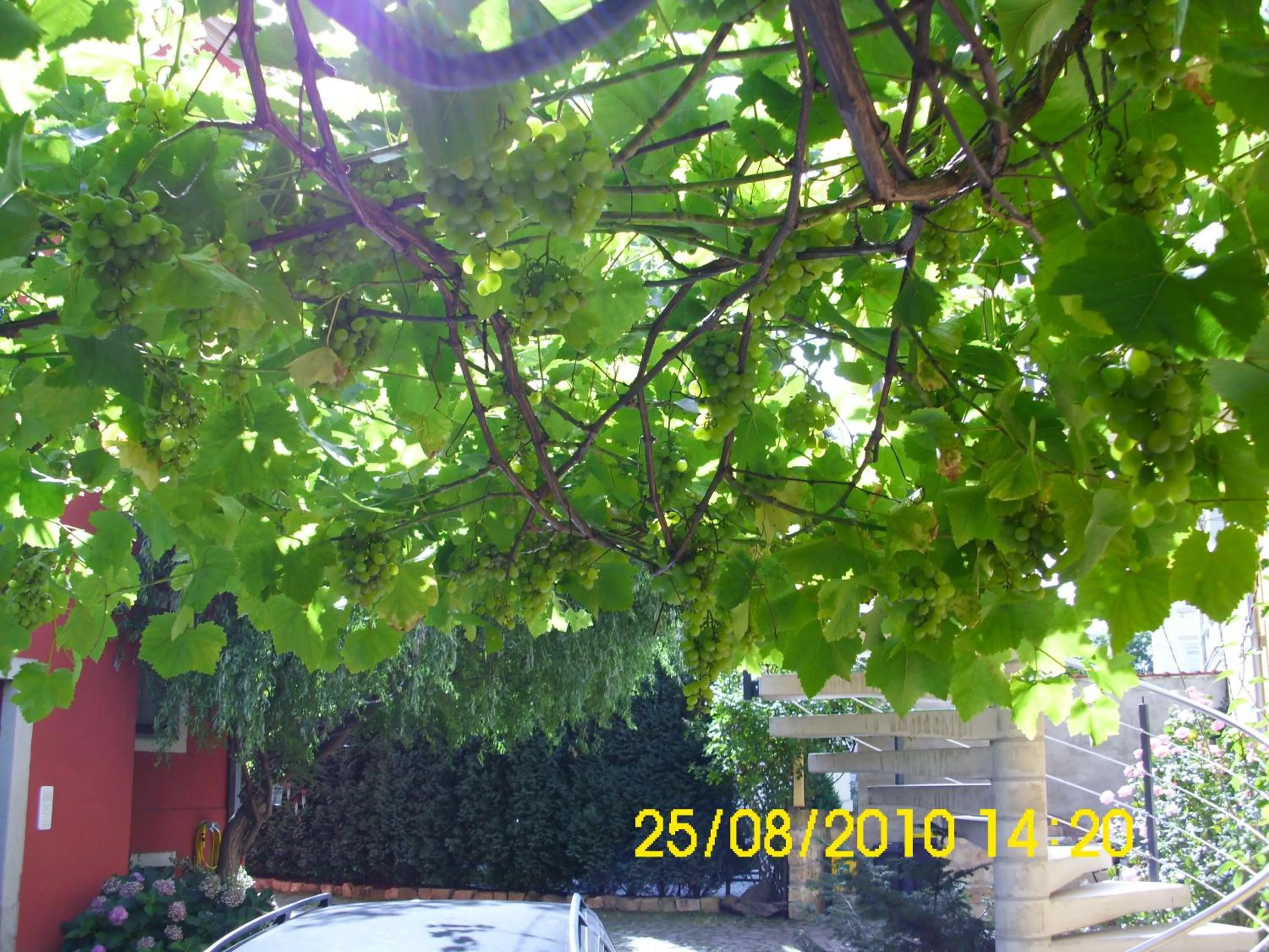 Patio in Art Apartments