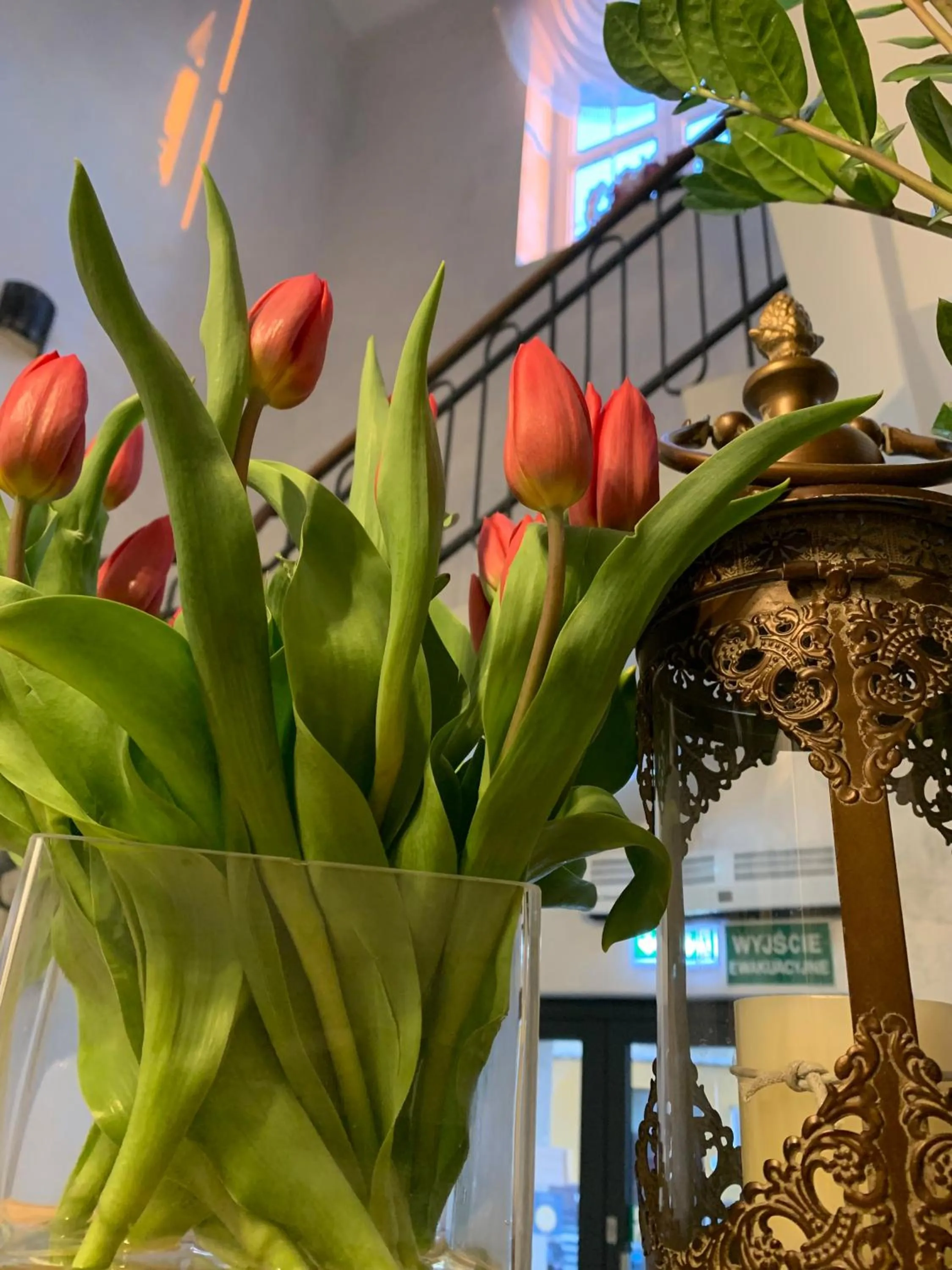 Lobby or reception in Villa Centro