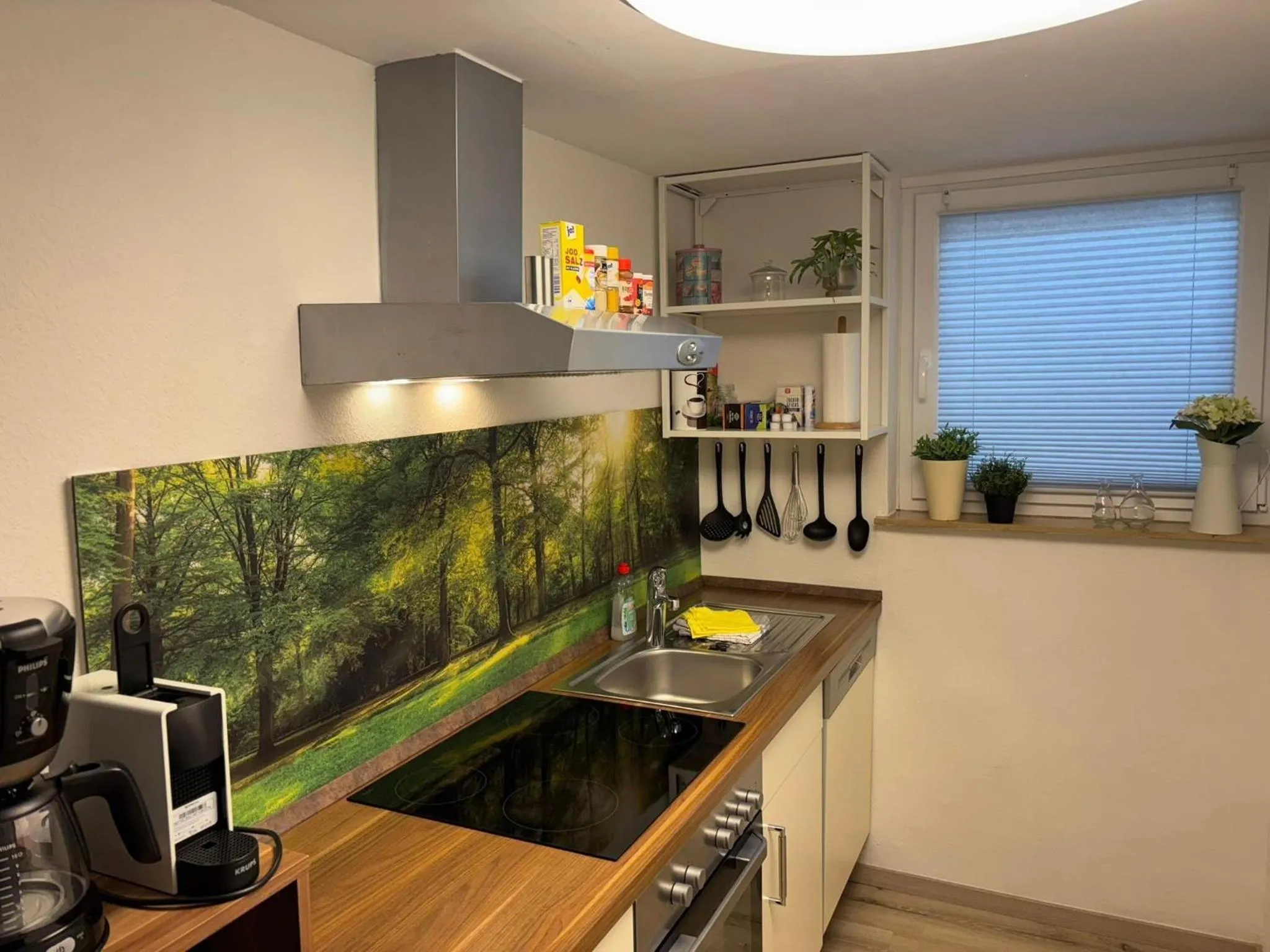 Kitchen or kitchenette in Löwenstein Ferienwohnungen