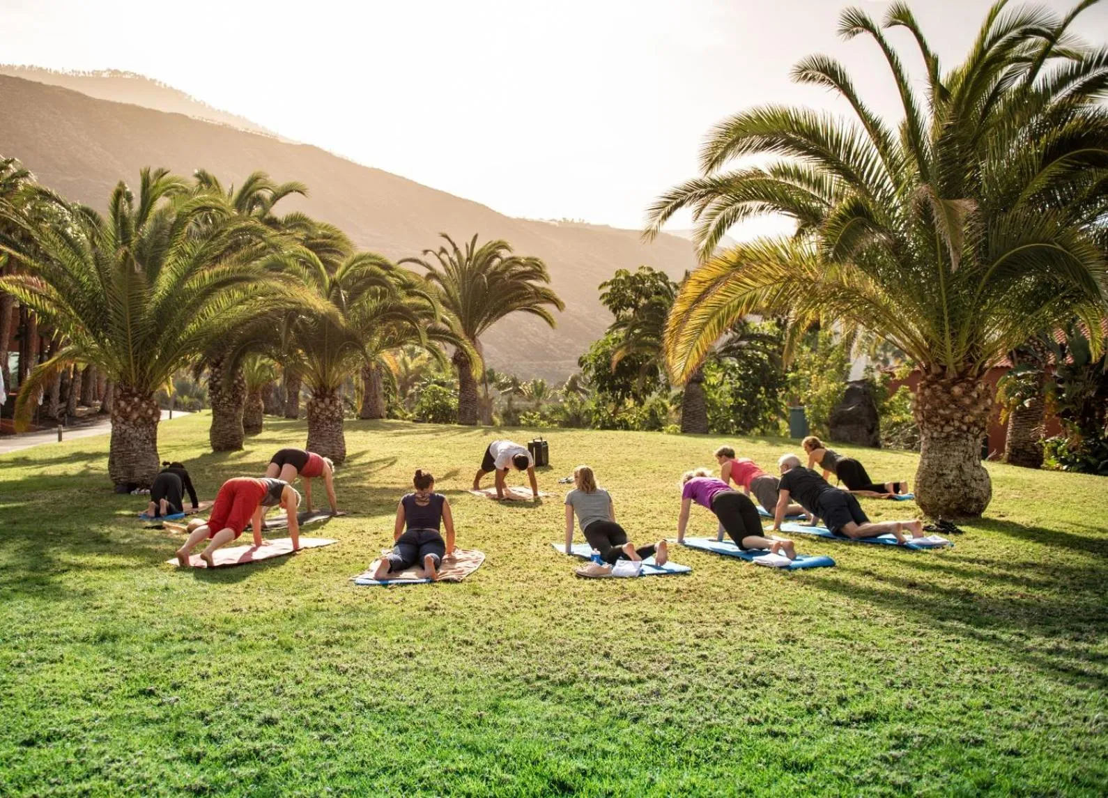 Sports in La Palma Princess