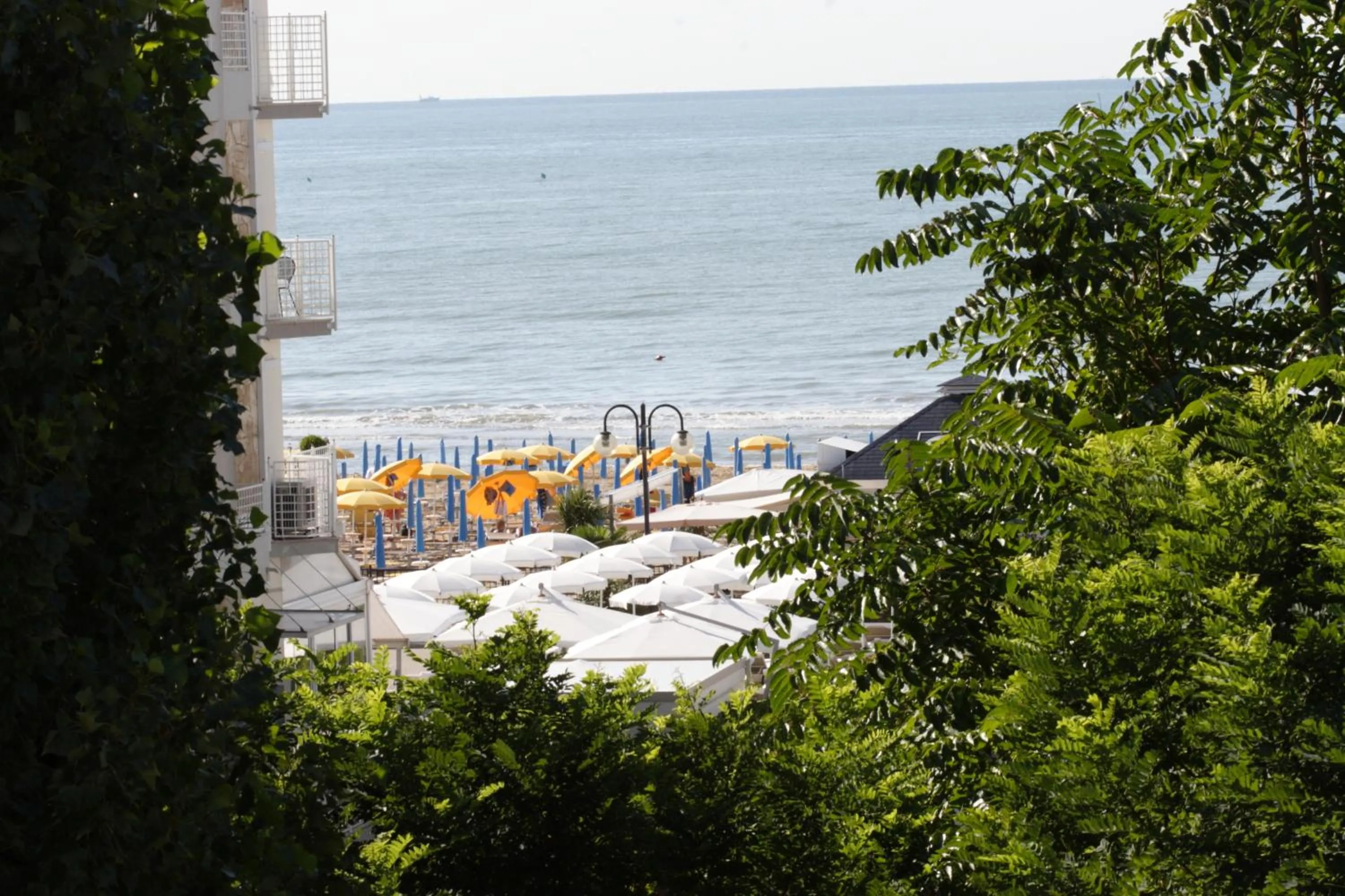 Other in Hotel Venezia e la Villetta