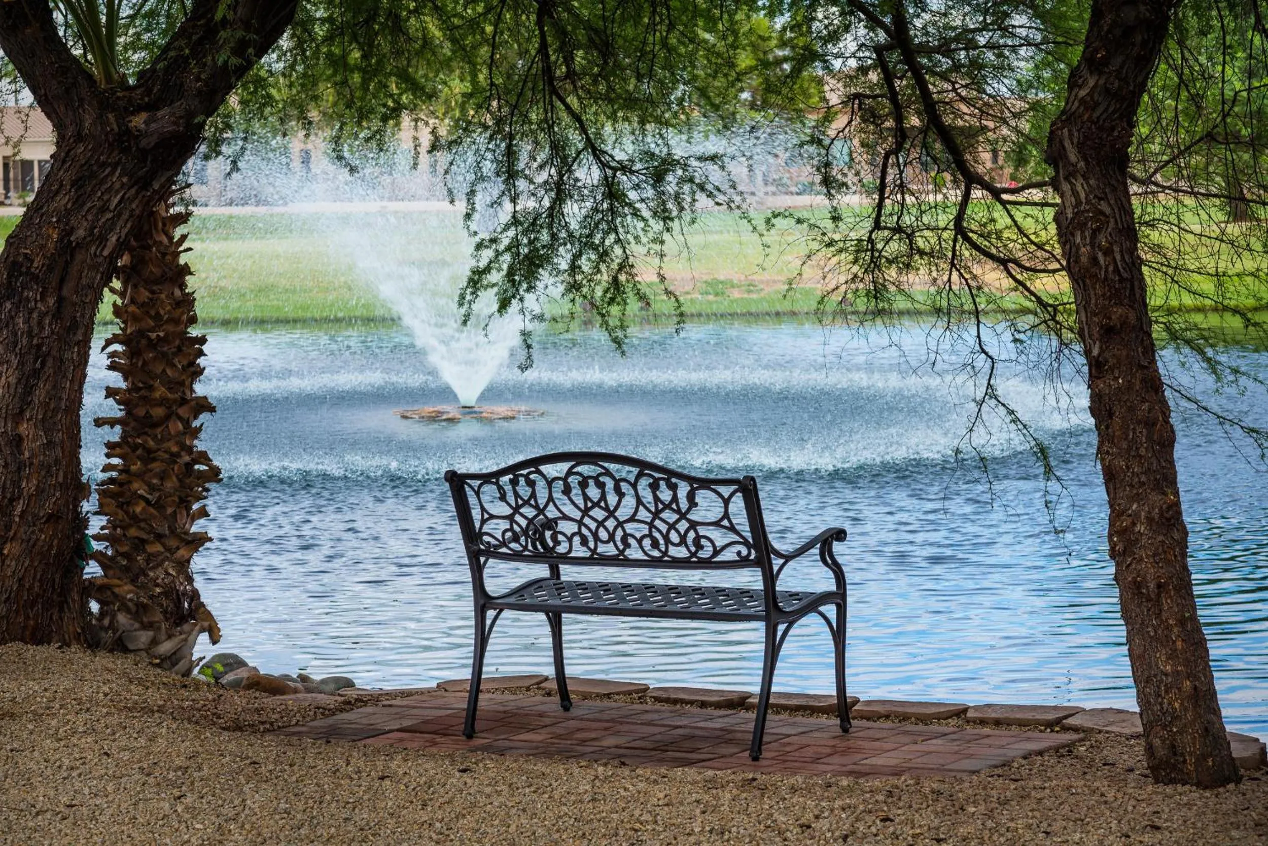 Area and facilities in Westgate Painted Mountain Golf Resort